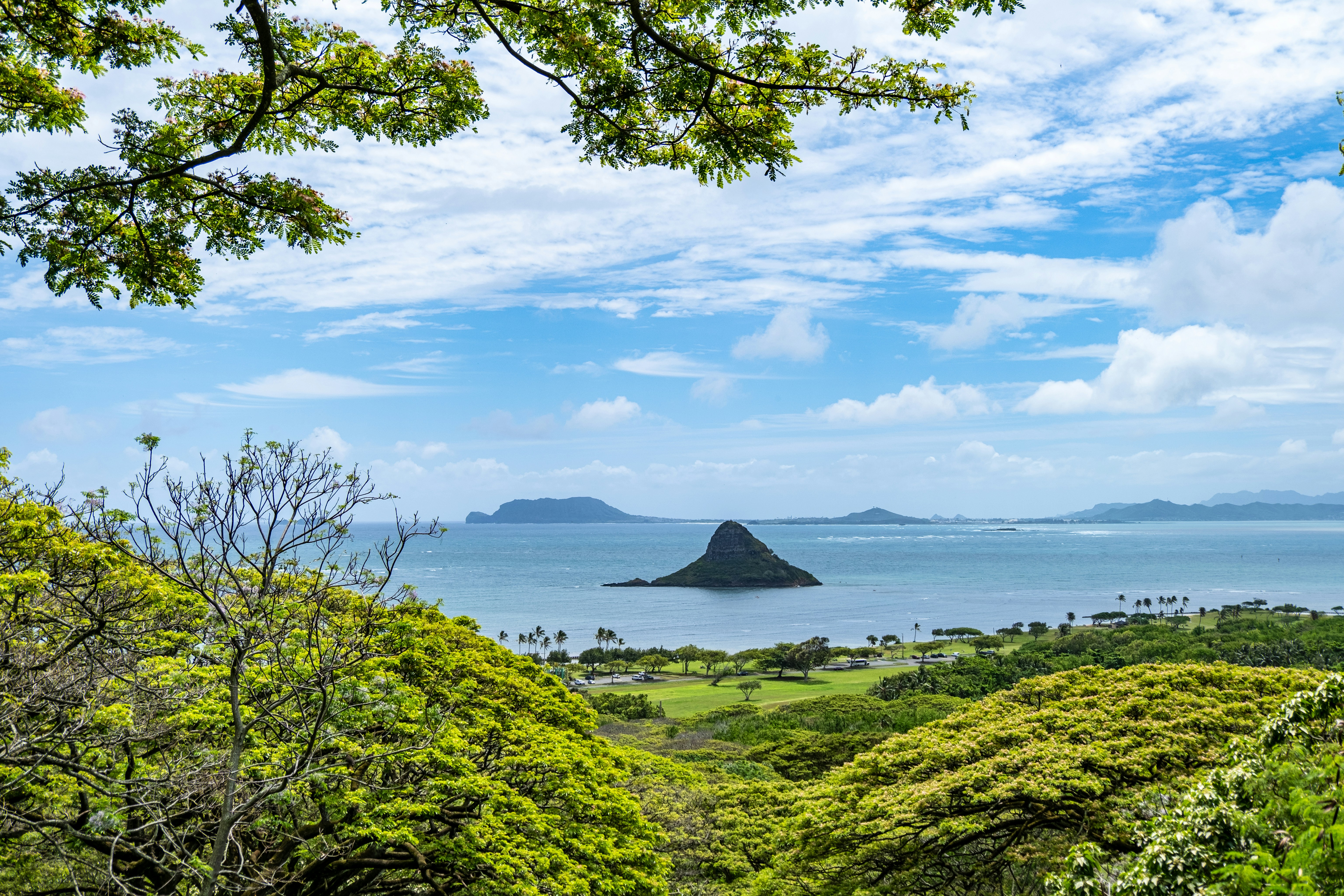 Photo by alanrodriguez