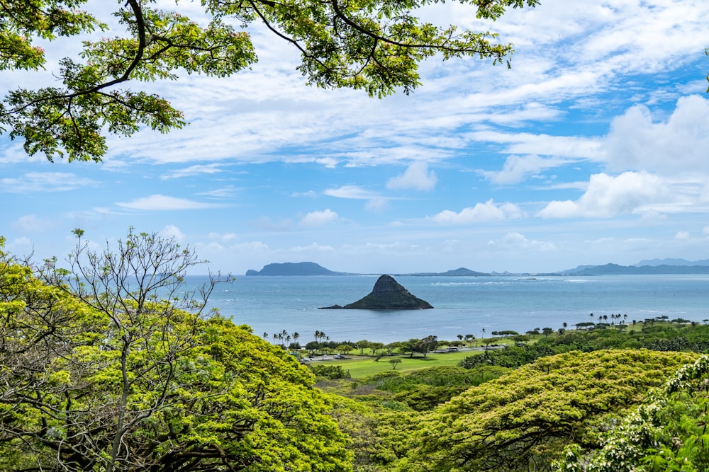 a scenic view of the ocean from a hill