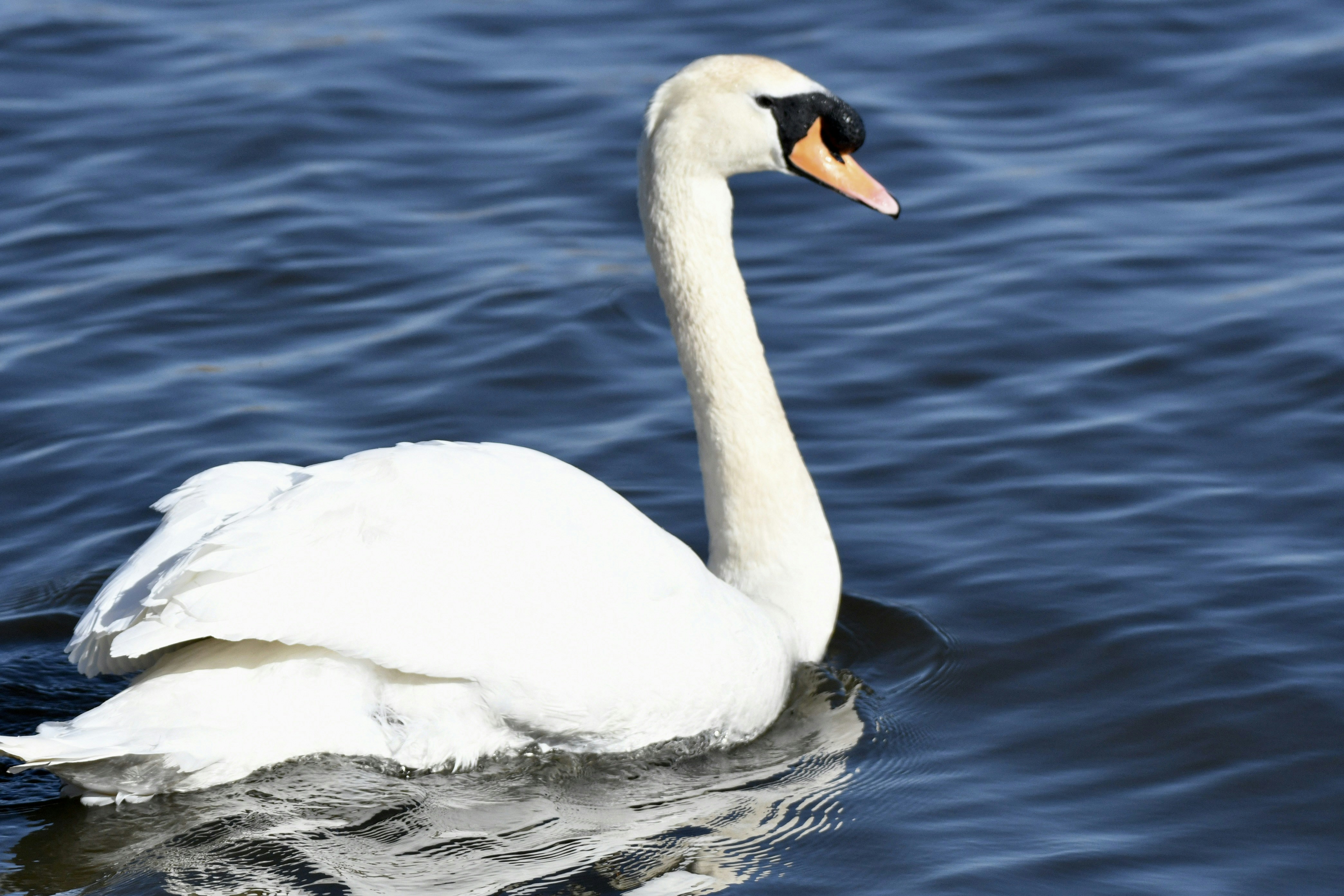 Photo by wrishi2004m