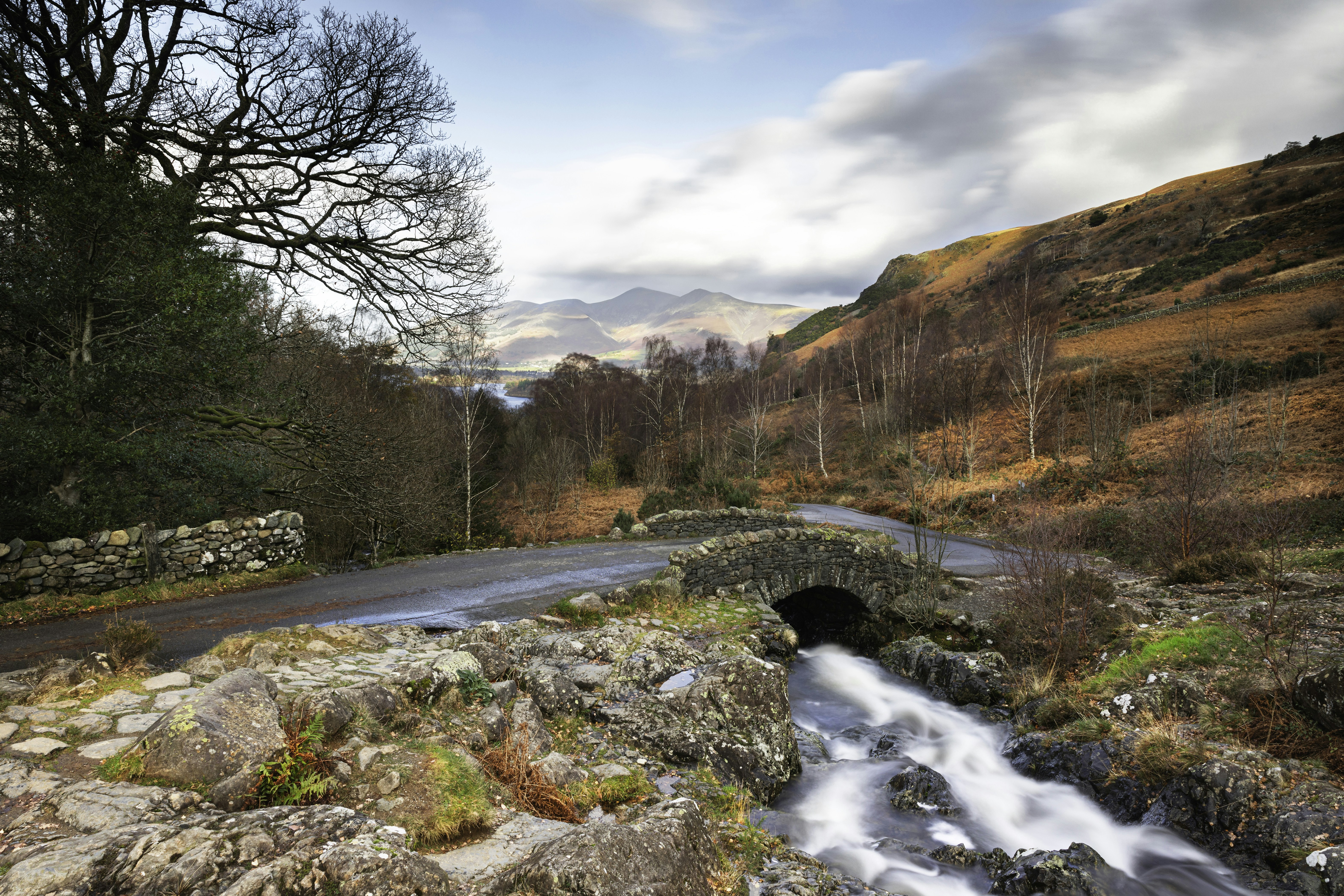 Photo by photographiccr22