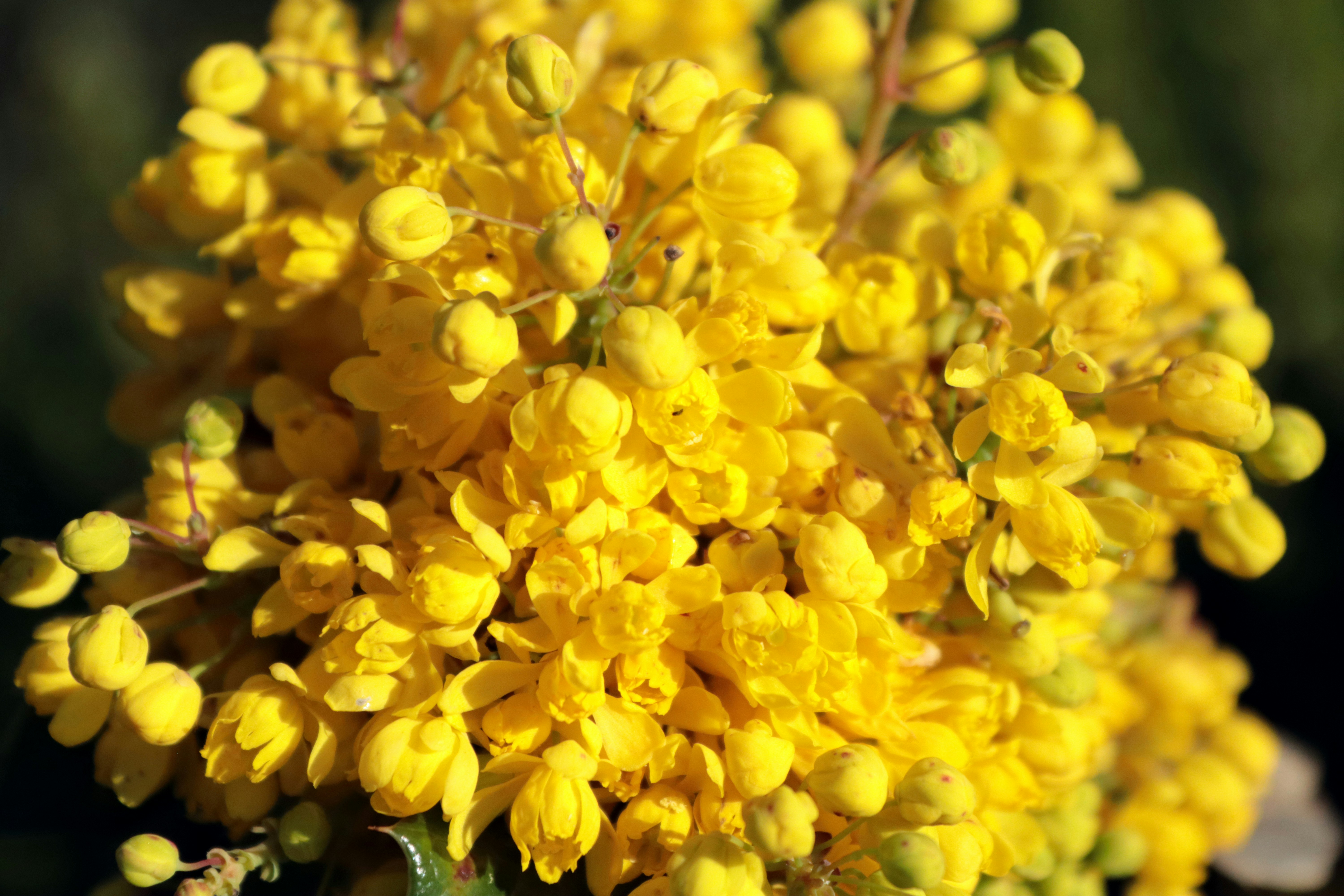 Photo by kccreations