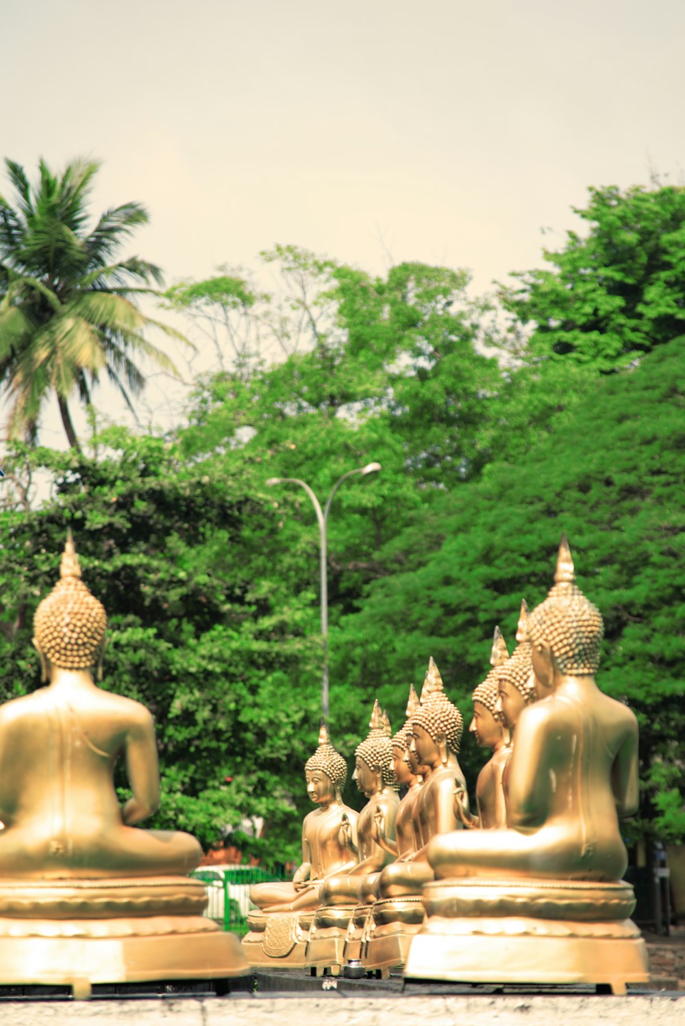 a row of golden buddha statues in a park