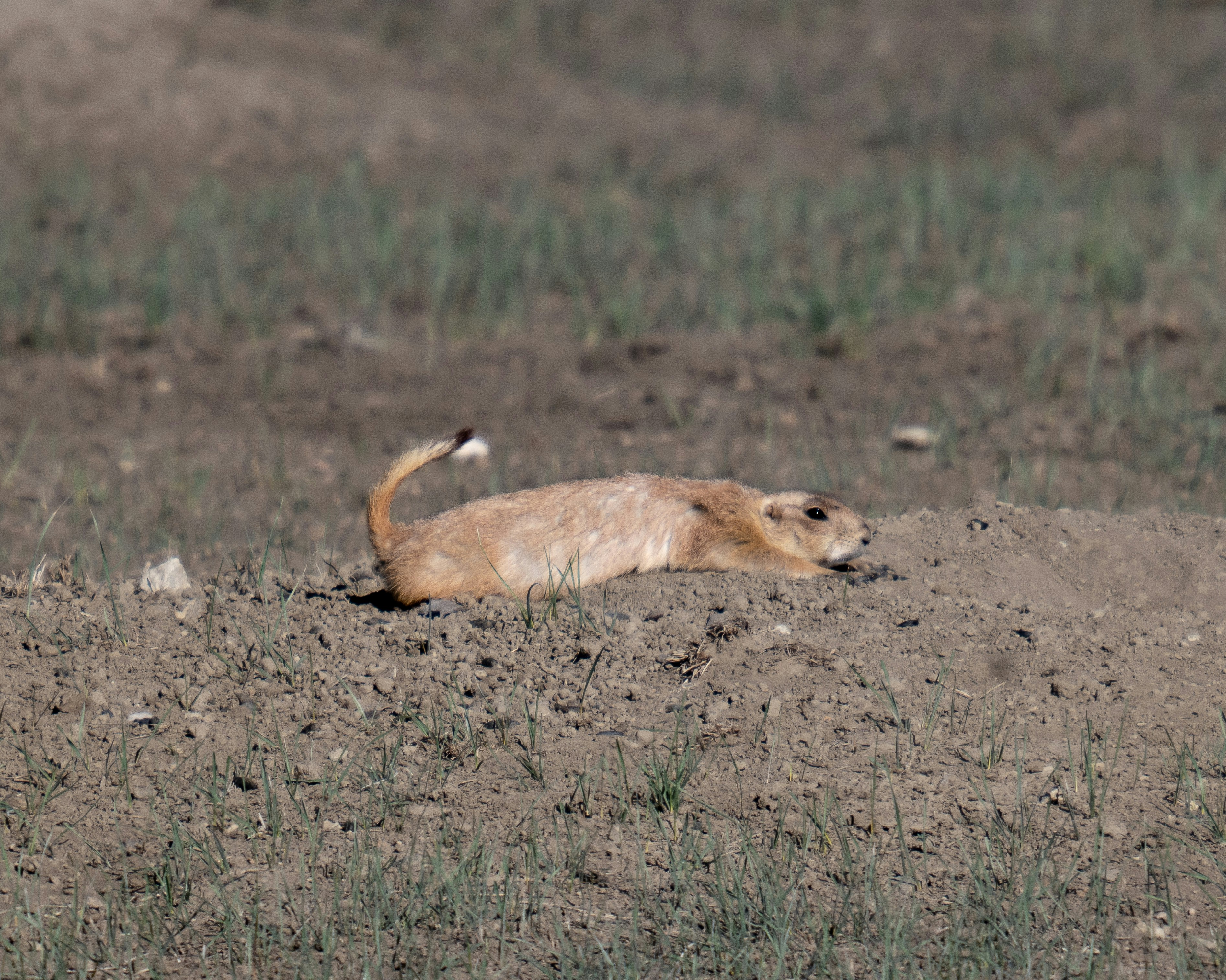 Photo by huntermastersmusic