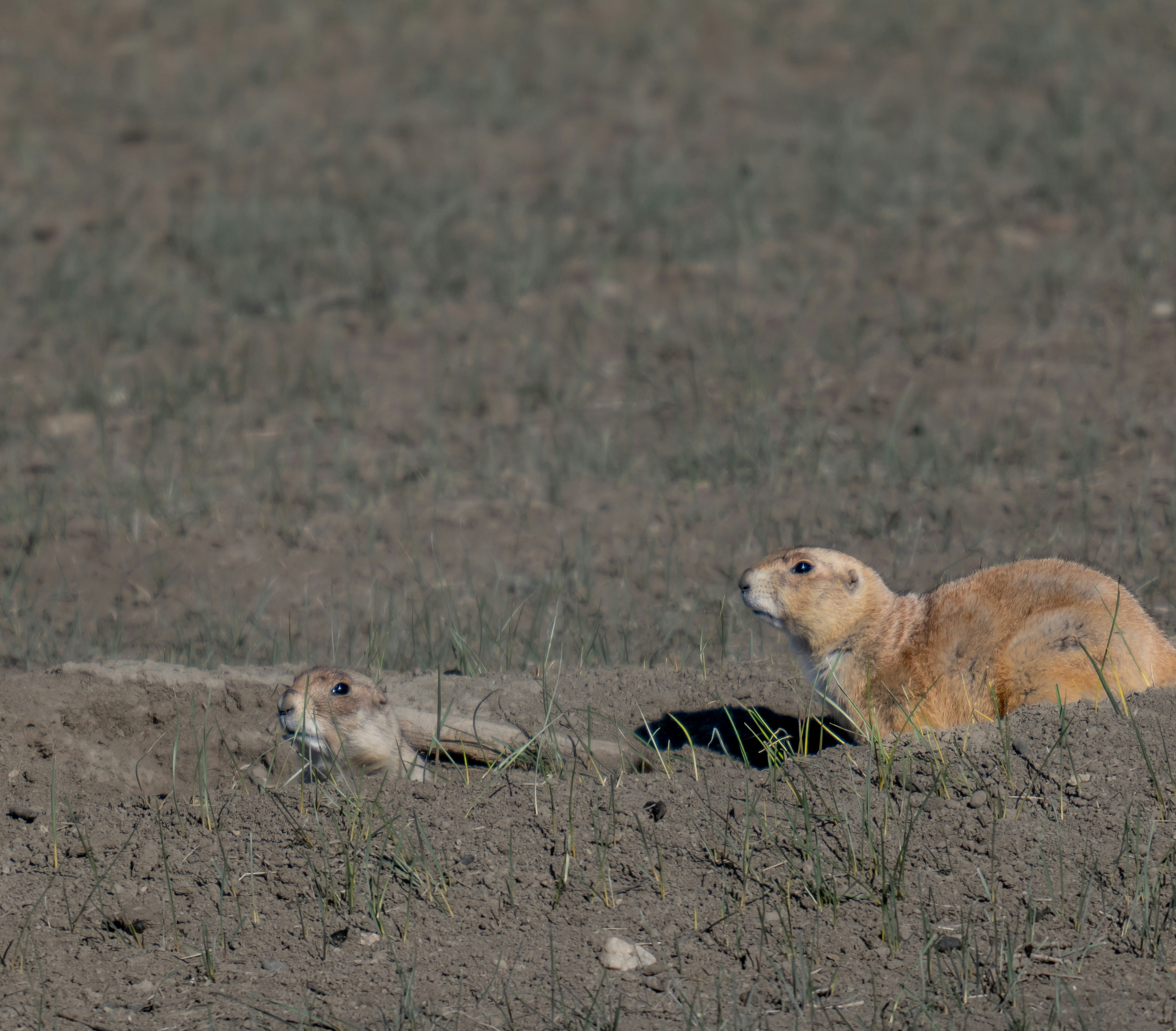 Photo by huntermastersmusic