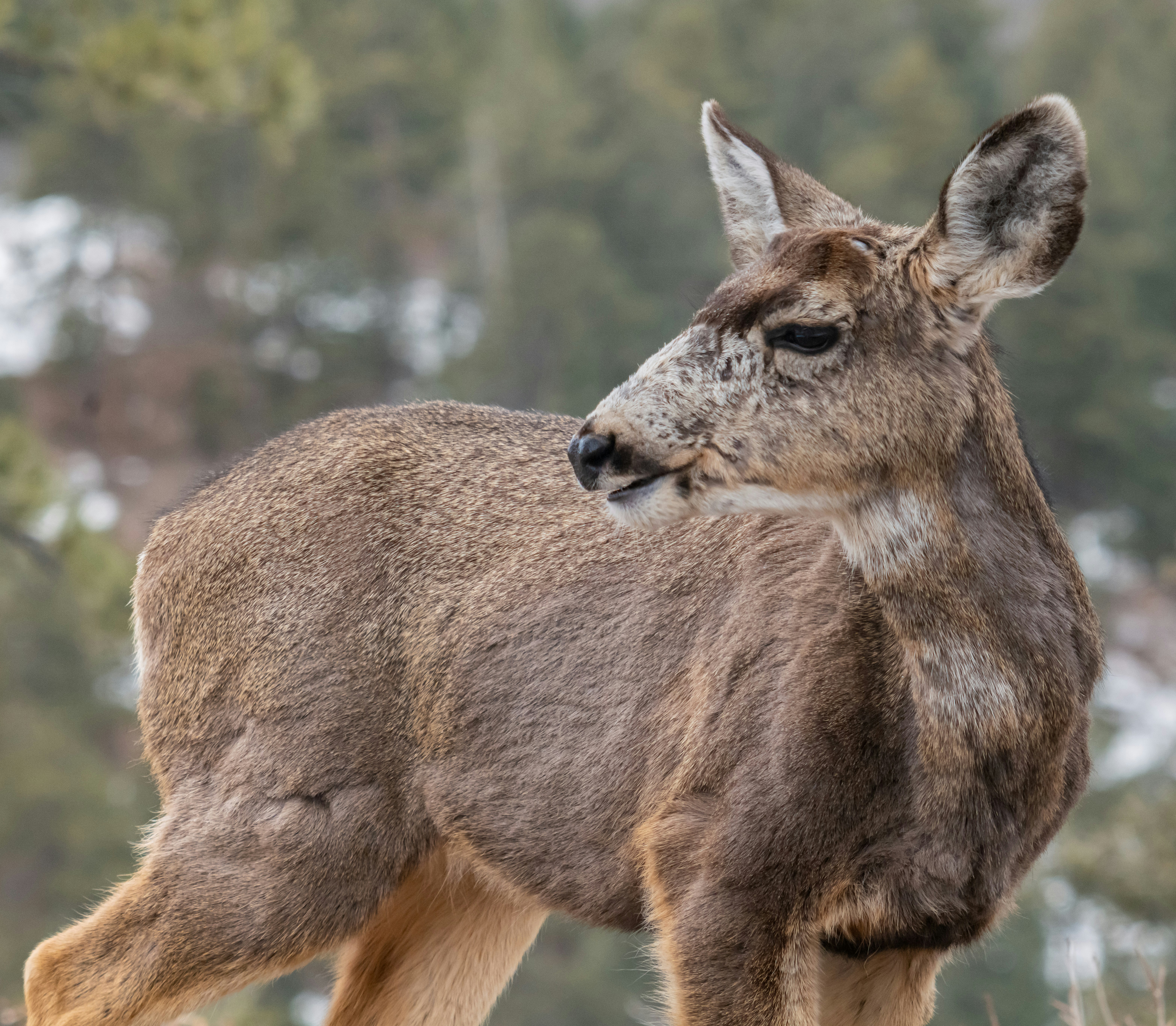 Photo by huntermastersmusic