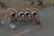 A group of turkeys with vibrant plumage is gathered on a road. The turkeys have distinct fan-shaped tails and red wattles hanging from their beaks. The scene includes several turkeys, some with their tail feathers fully fanned out, possibly engaged in a display or interaction.