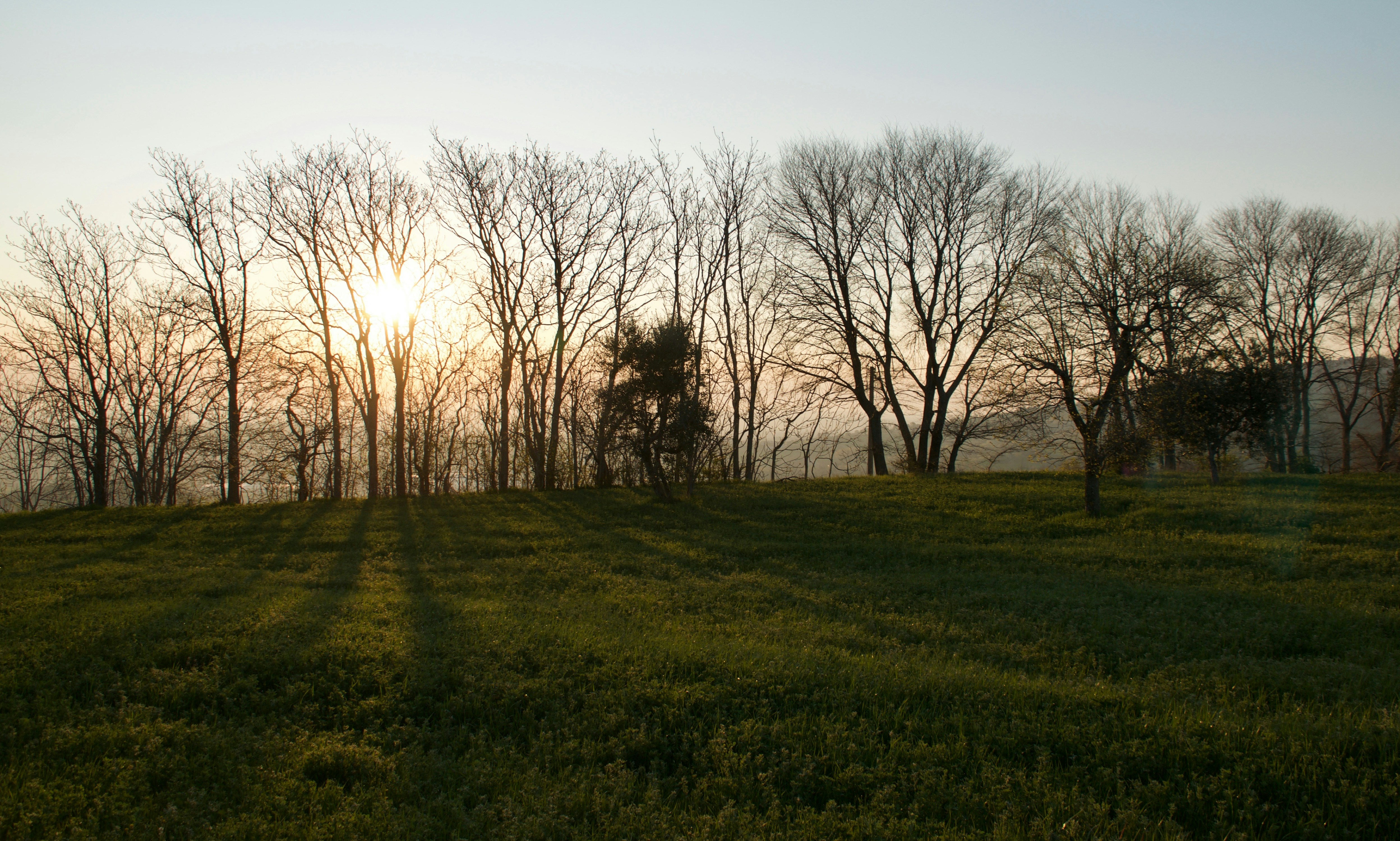 Photo by mariobeducci