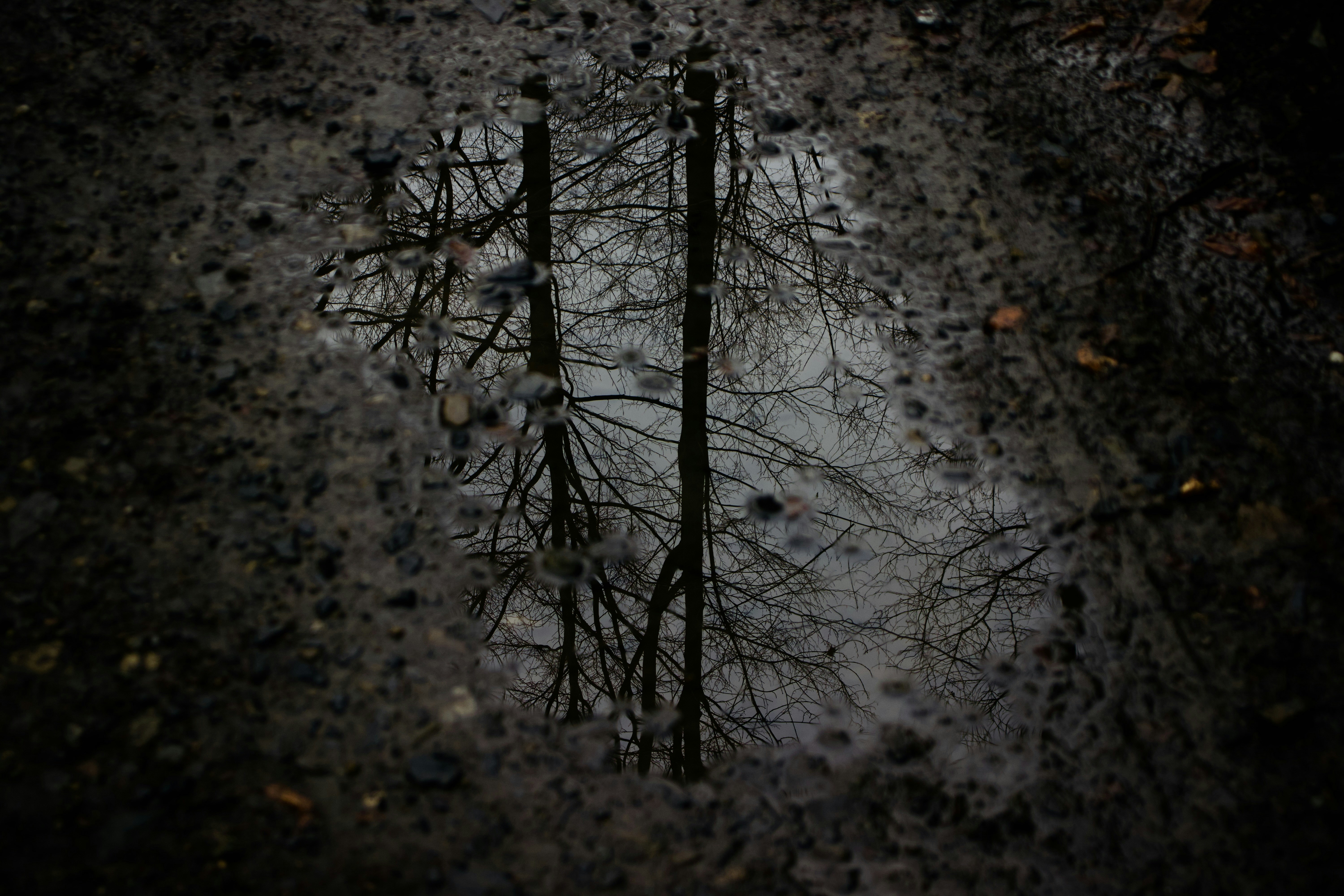Photo by jakub_neskora