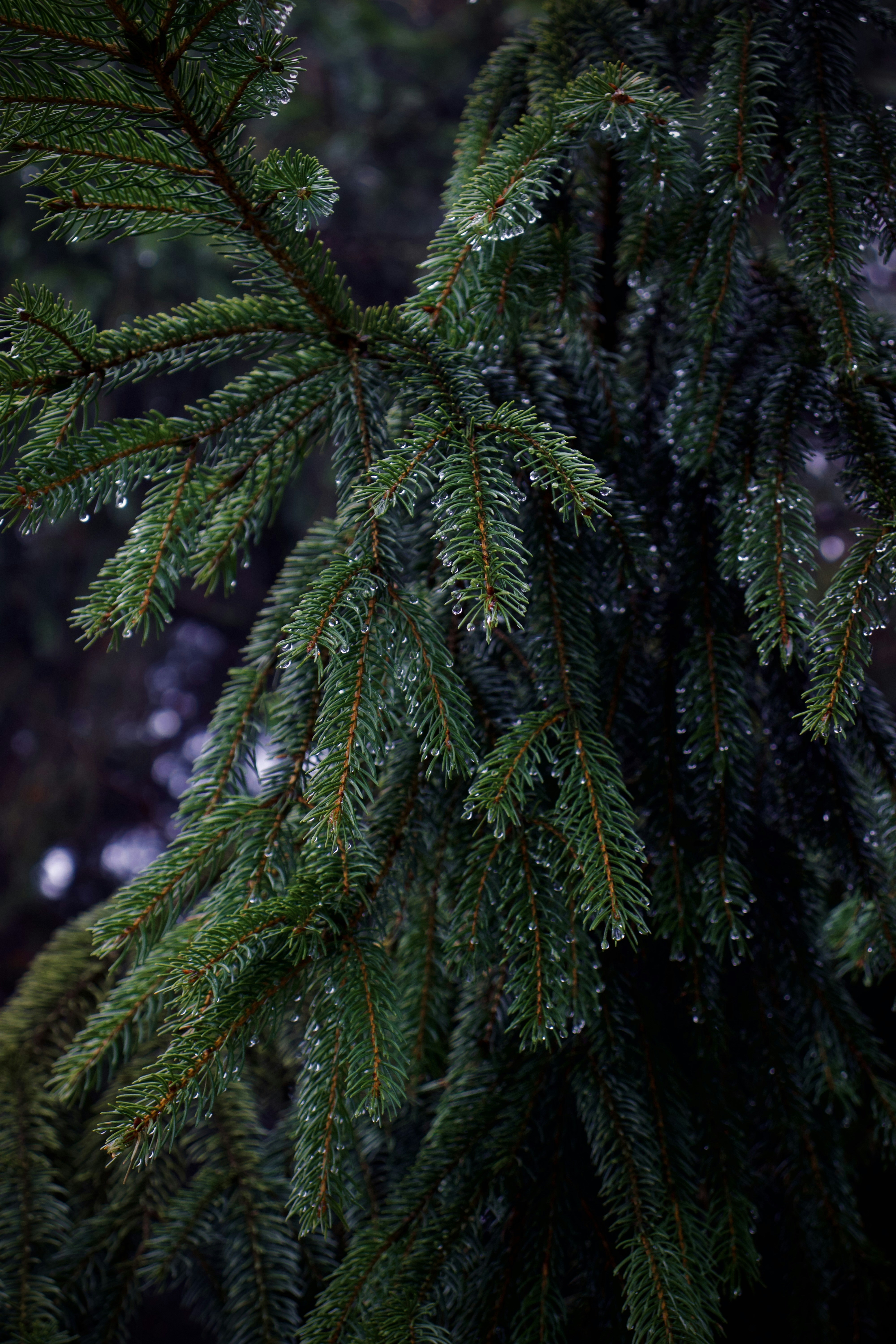 Photo by jakub_neskora