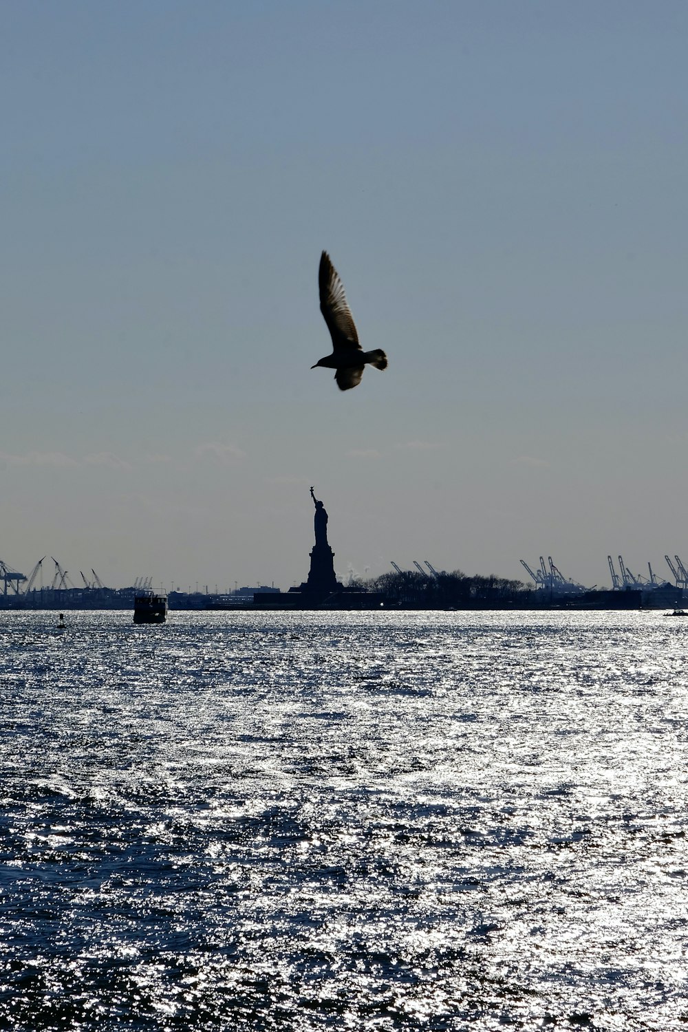 a large bird flying over a body of water