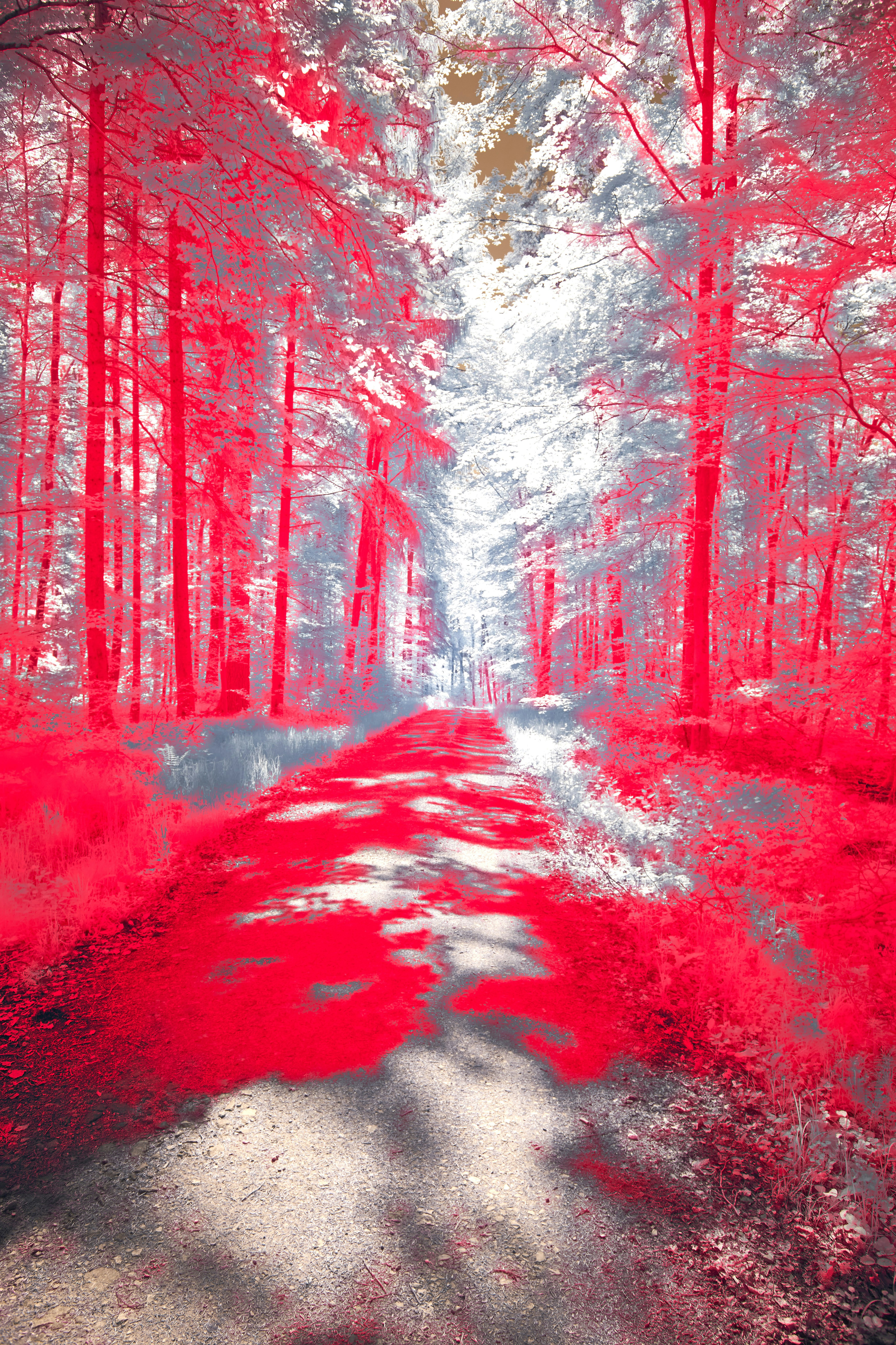 Photo by wolfgang_hasselmann