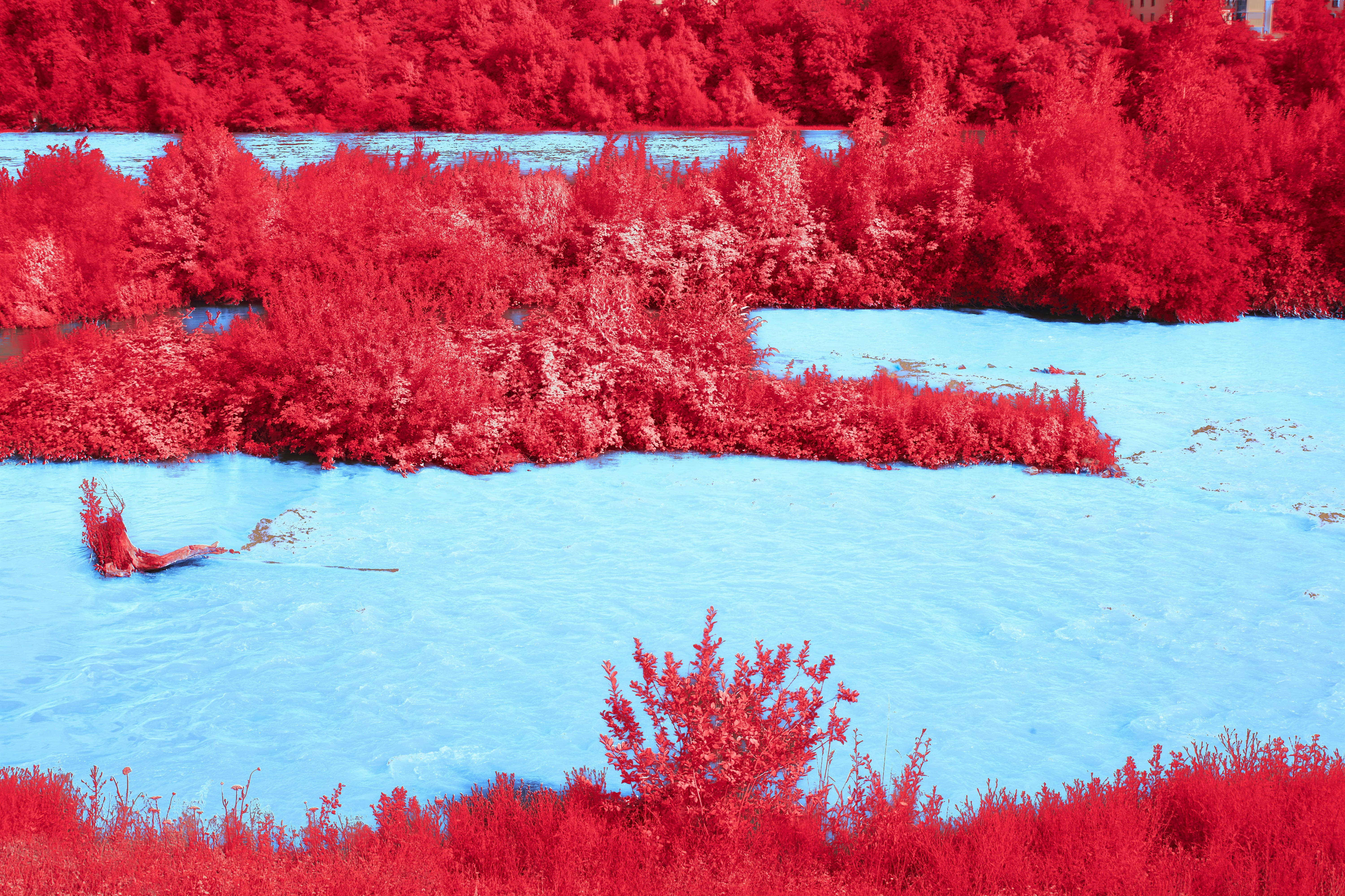 Photo by wolfgang_hasselmann