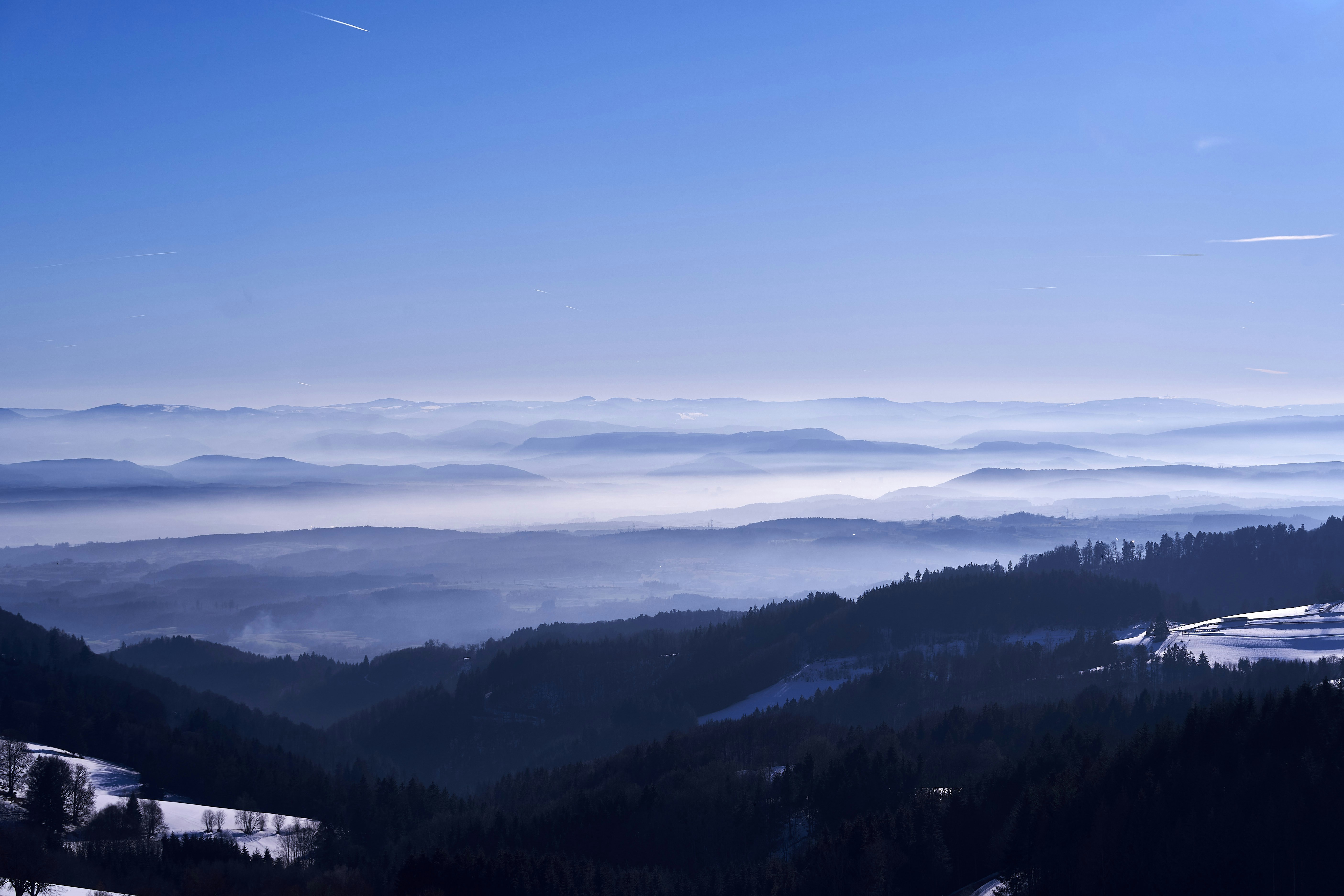 Photo by wolfgang_hasselmann