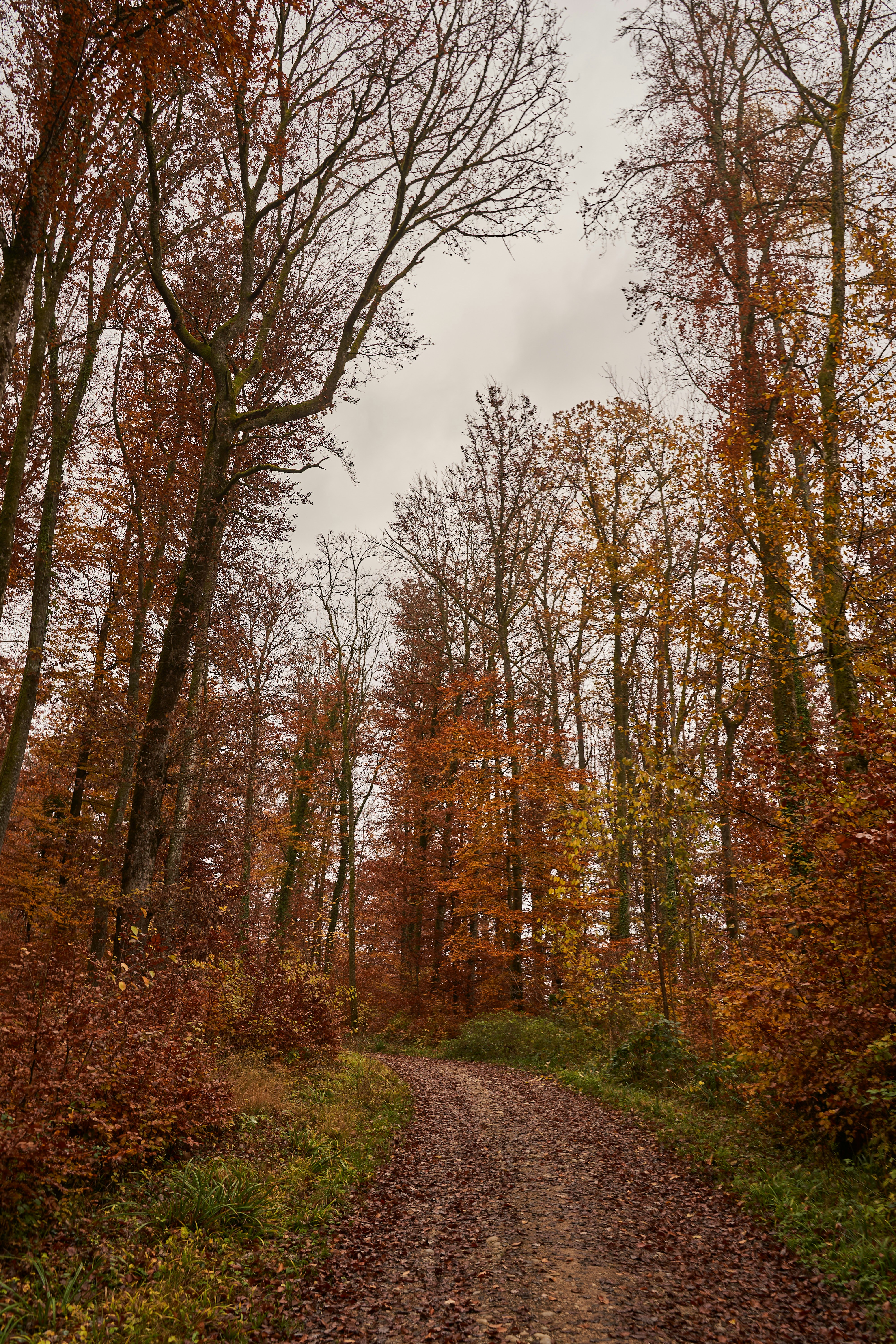 Photo by wolfgang_hasselmann