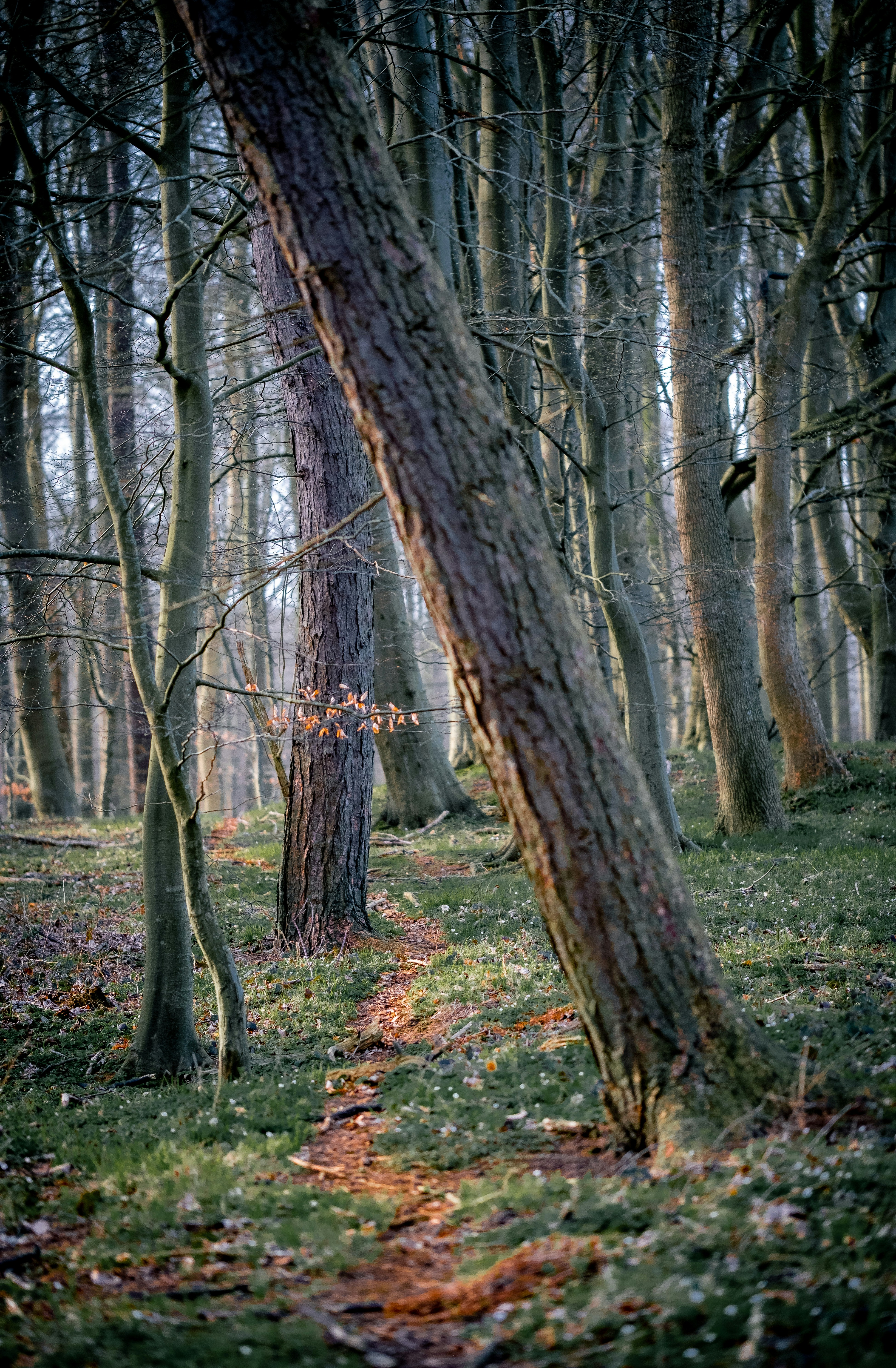 Photo by michaelheld