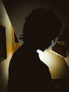 A silhouette of a person with dreadlocks is seen against a dimly lit staircase. The lighting creates a dramatic contrast, highlighting the shape of the hair and the profile of the face.