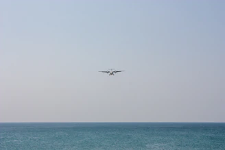 Cessna 172 in mid-flight over scenic countryside landscape during a calm afternoon.