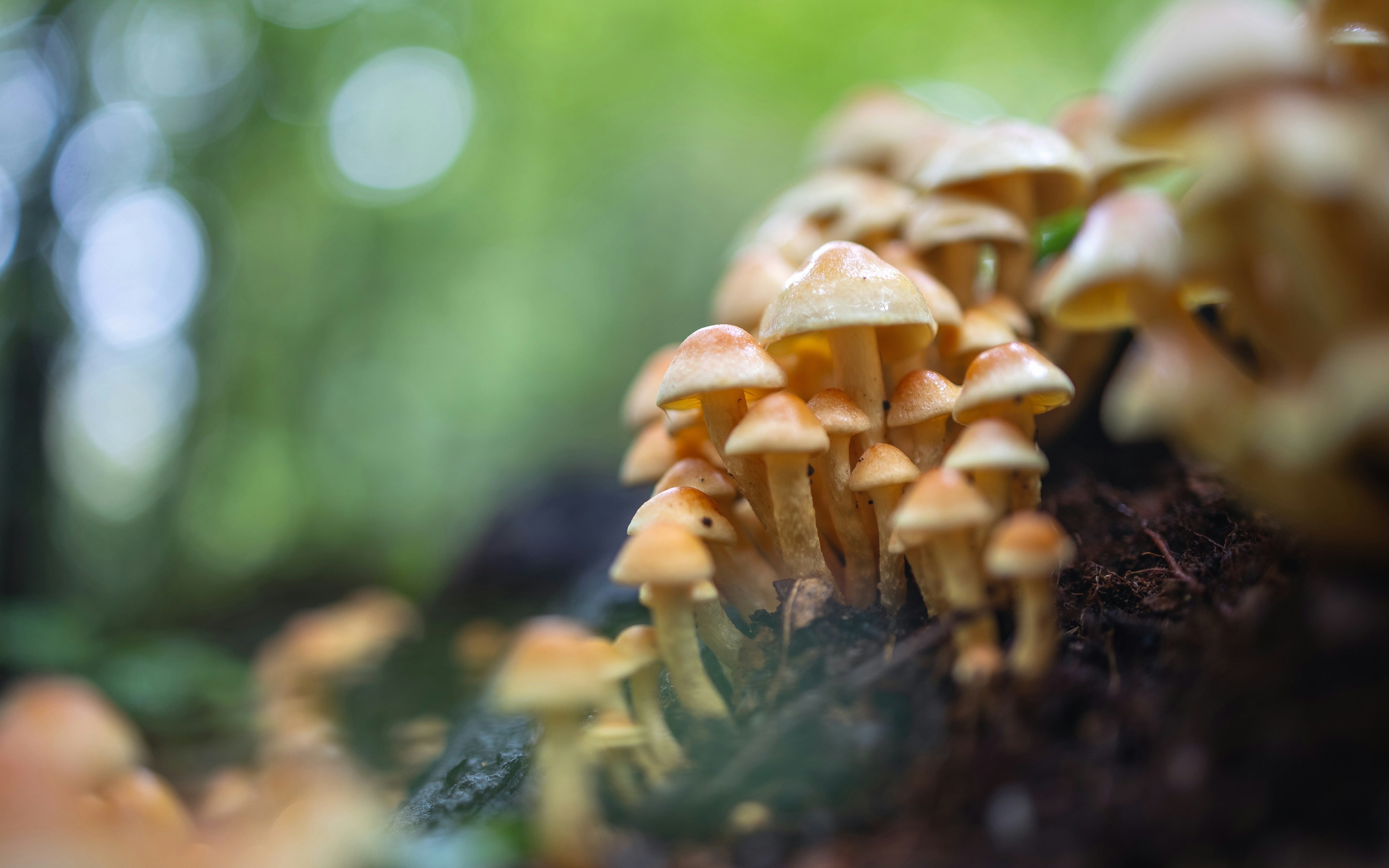 Photo by marekpiwnicki