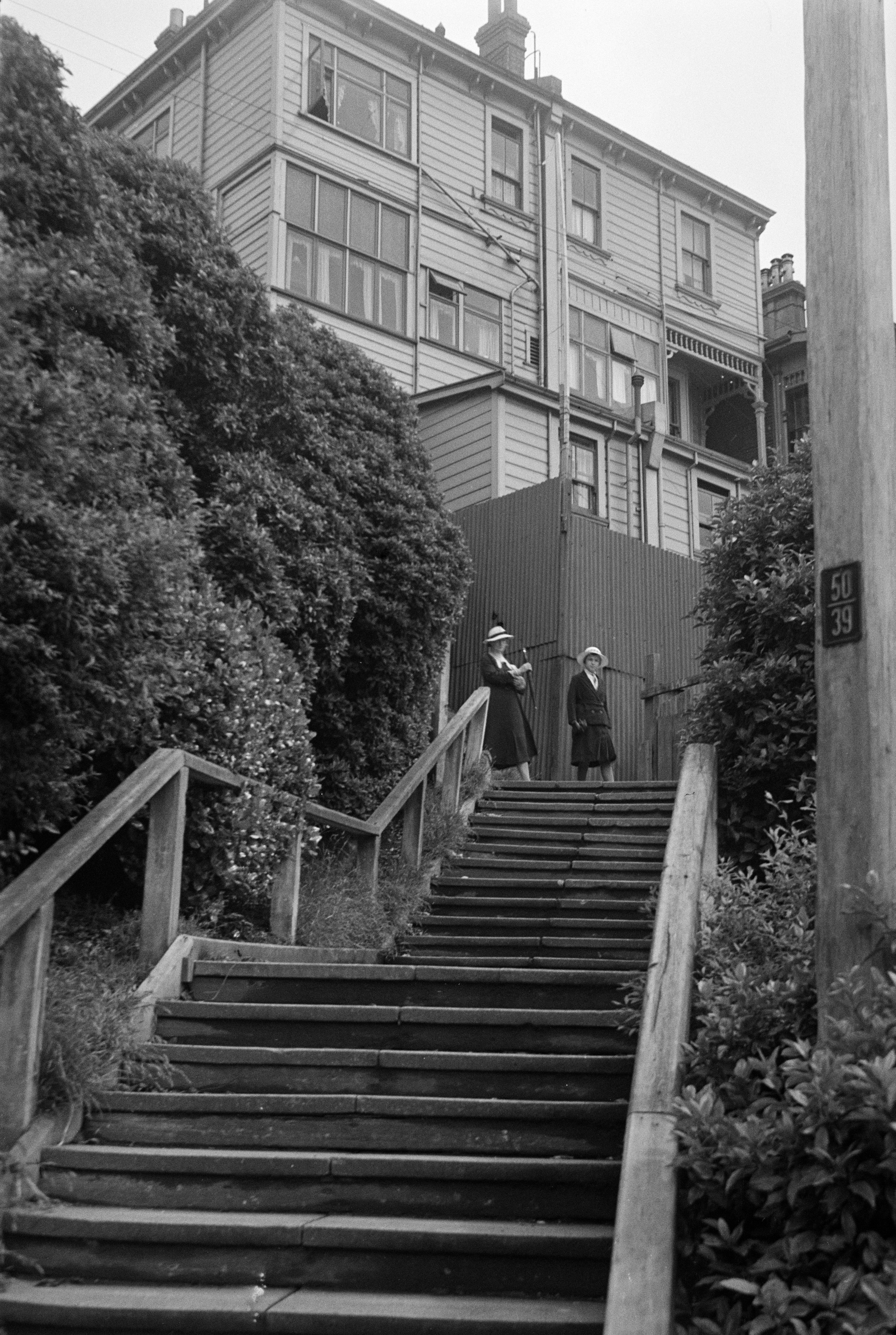 Two people ascend wooden stairs beside lush greenery