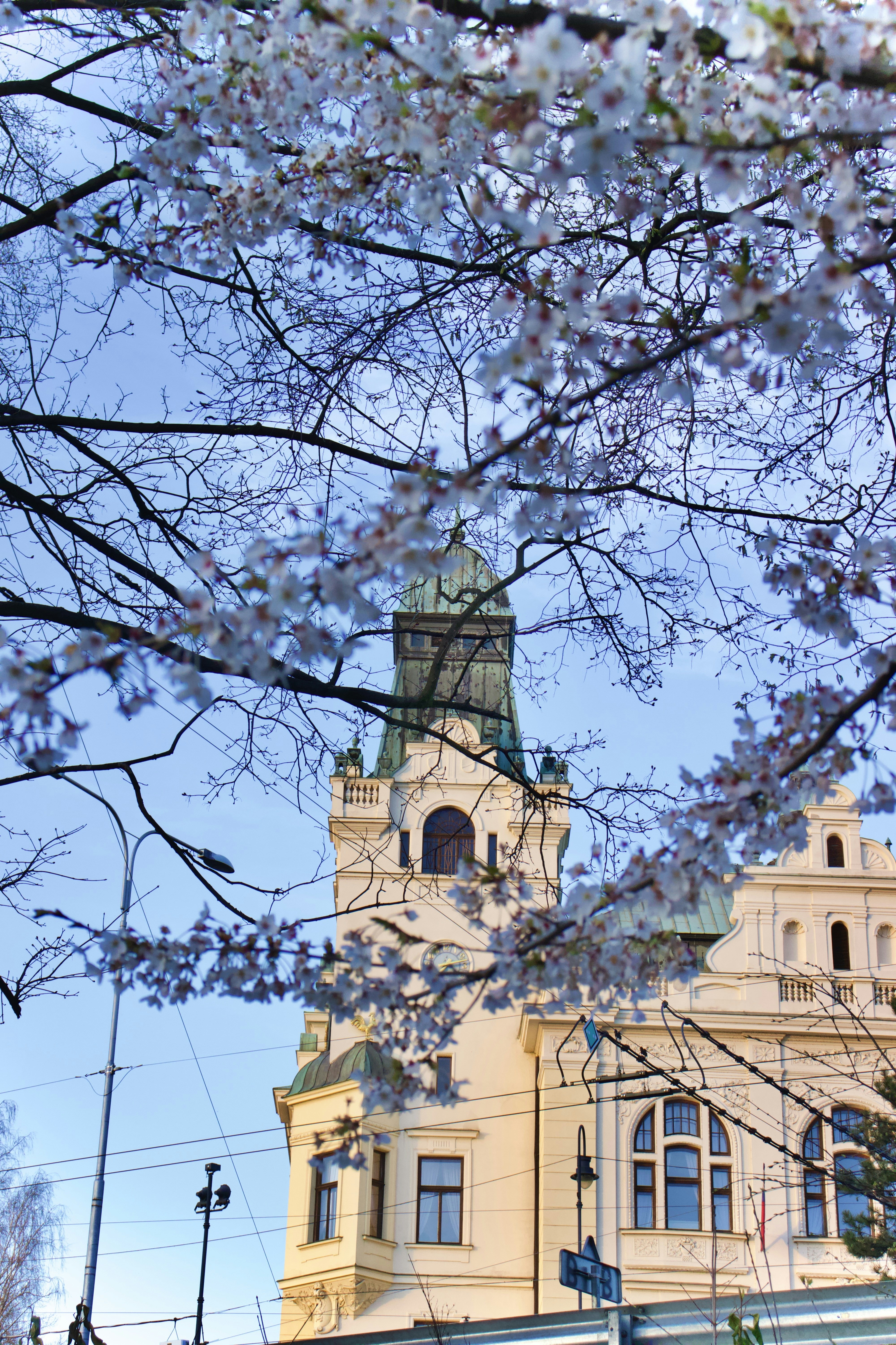 Photo by jakub_neskora