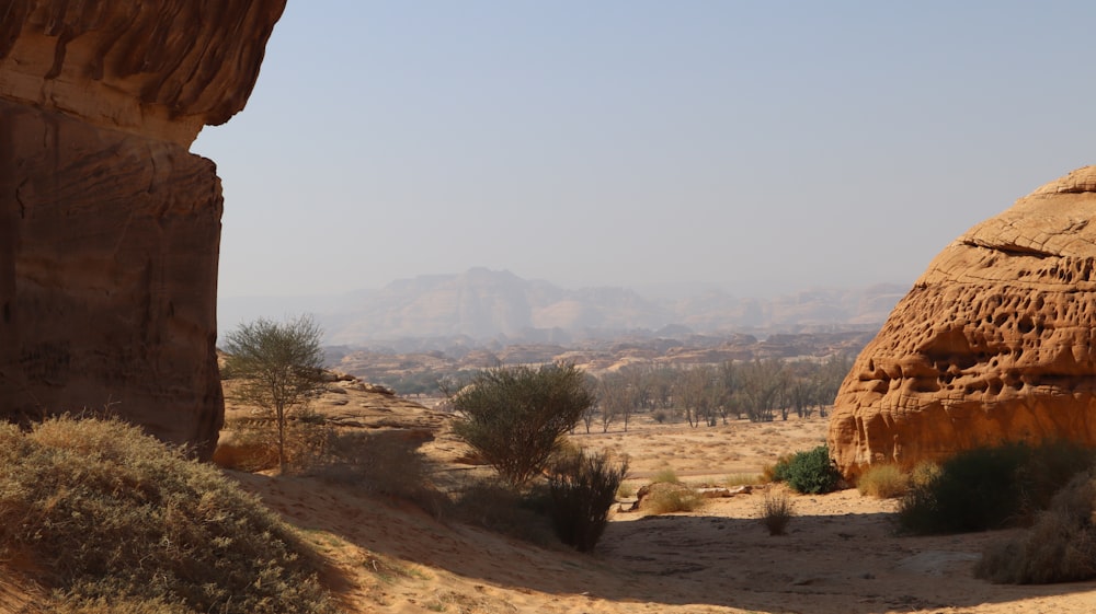 a view of a desert with mountains in the background