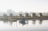 Several small wooden cabins are situated along a tranquil riverside, with a dock extending into the water. A small boat carrying a few people is approaching the dock. The air appears misty, creating a serene and calm atmosphere with soft light filtering through.