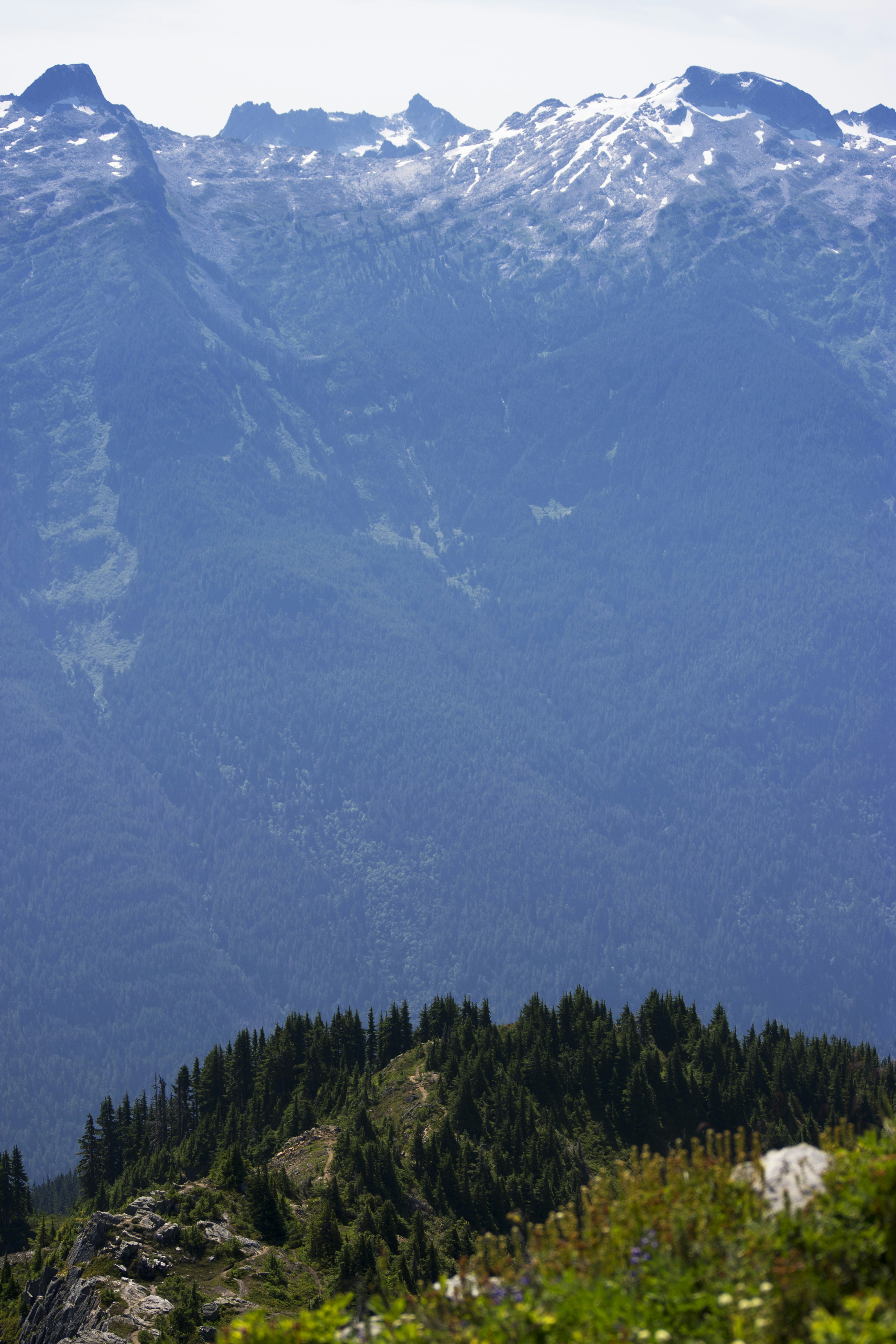 Photo by alexmoliski