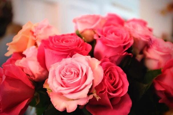 A close-up of a bouquet of 12 pink roses with delicate petals and soft lighting.