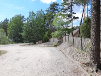 Dirt road leading into a quiet land parcel surrounded by trees.