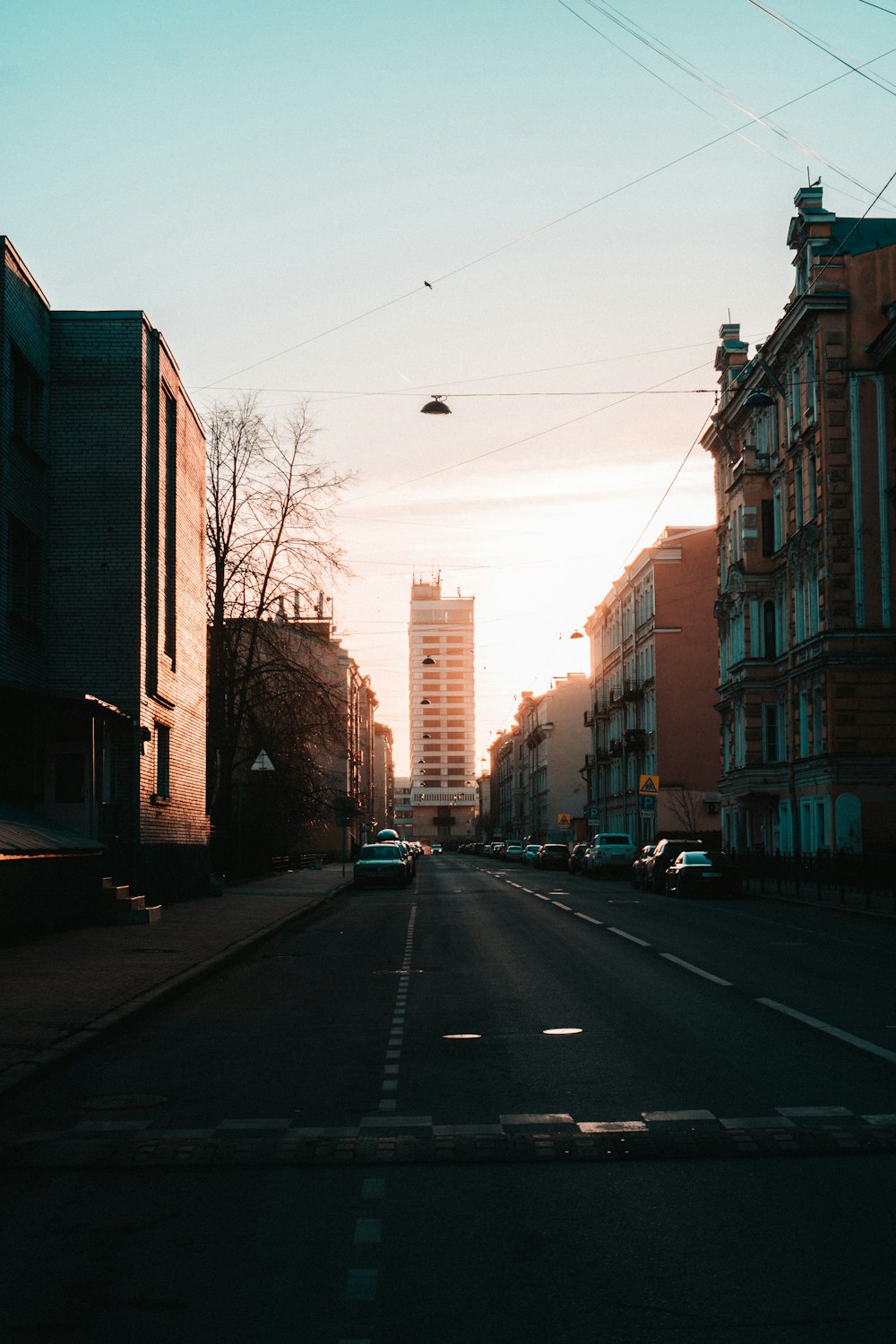 a city street at sunset with a bird flying in the sky