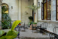 Cozy outdoor seating area at Hernan Café with views of lush Galápagos greenery.