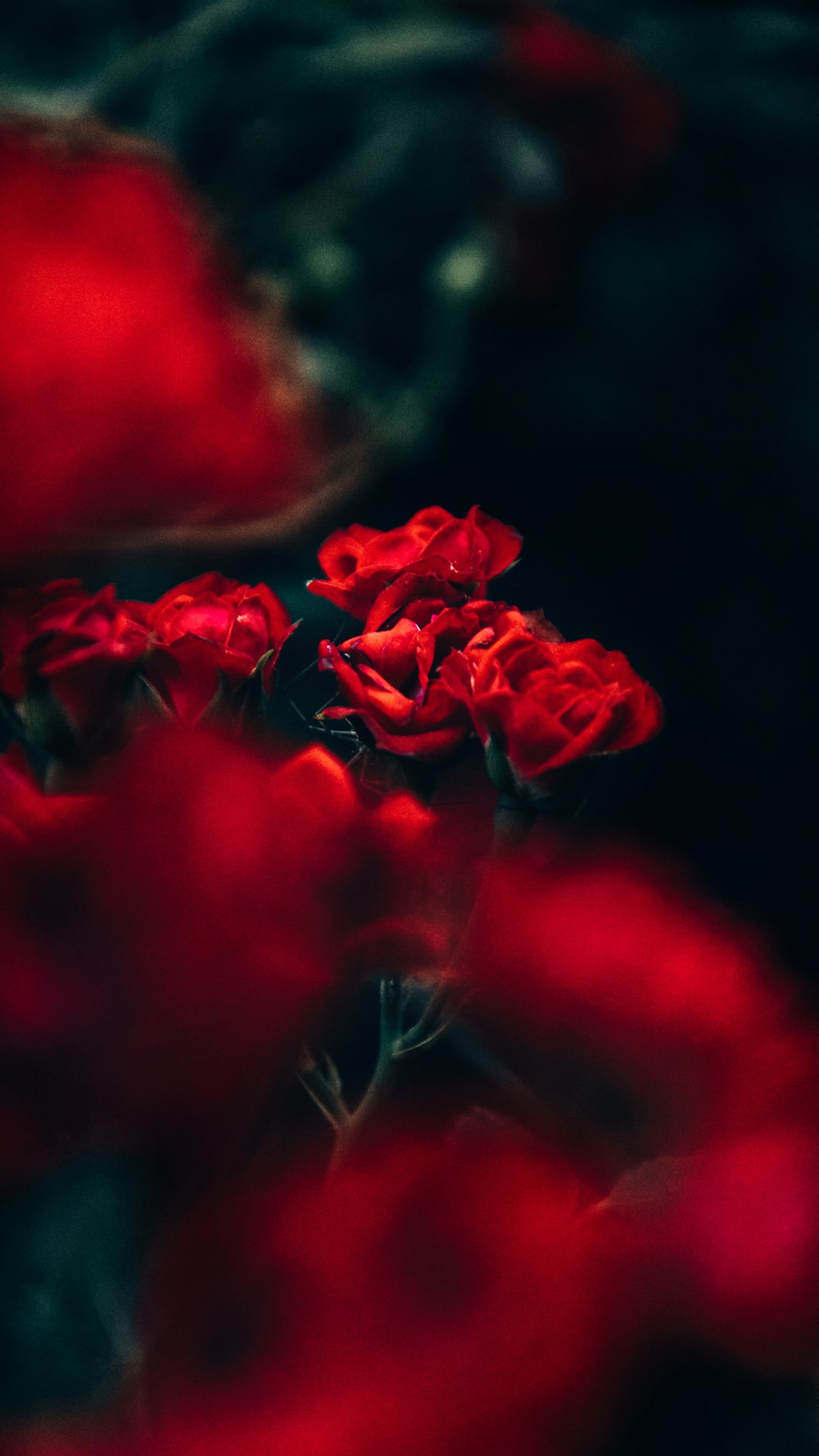 Un ramo de rosas rojas sentado encima de una mesa