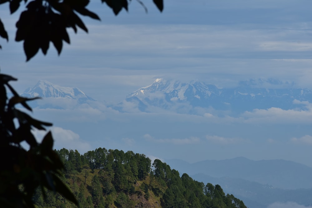 a view of a mountain range with trees in the foreground