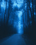 Stylish album cover showing a misty forest path under twilight hues.