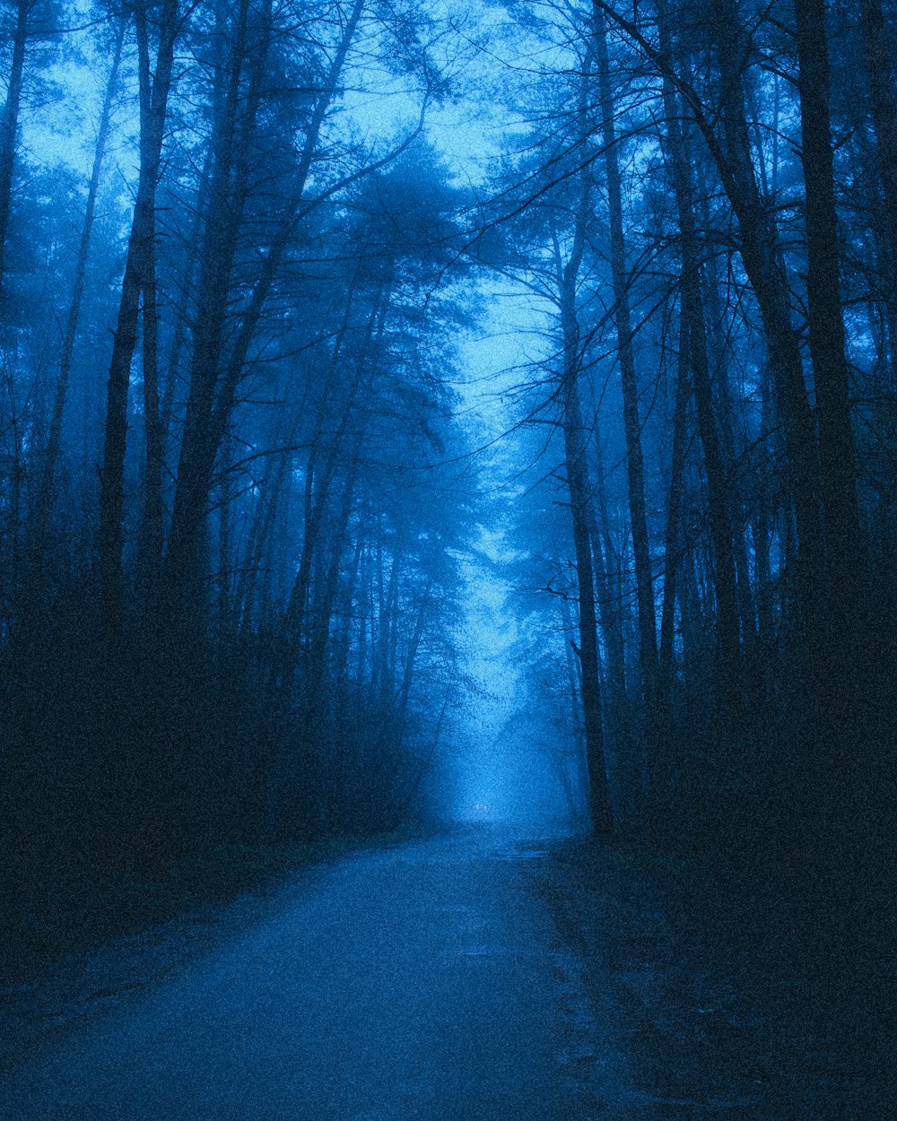 uma estrada escura no meio de uma floresta