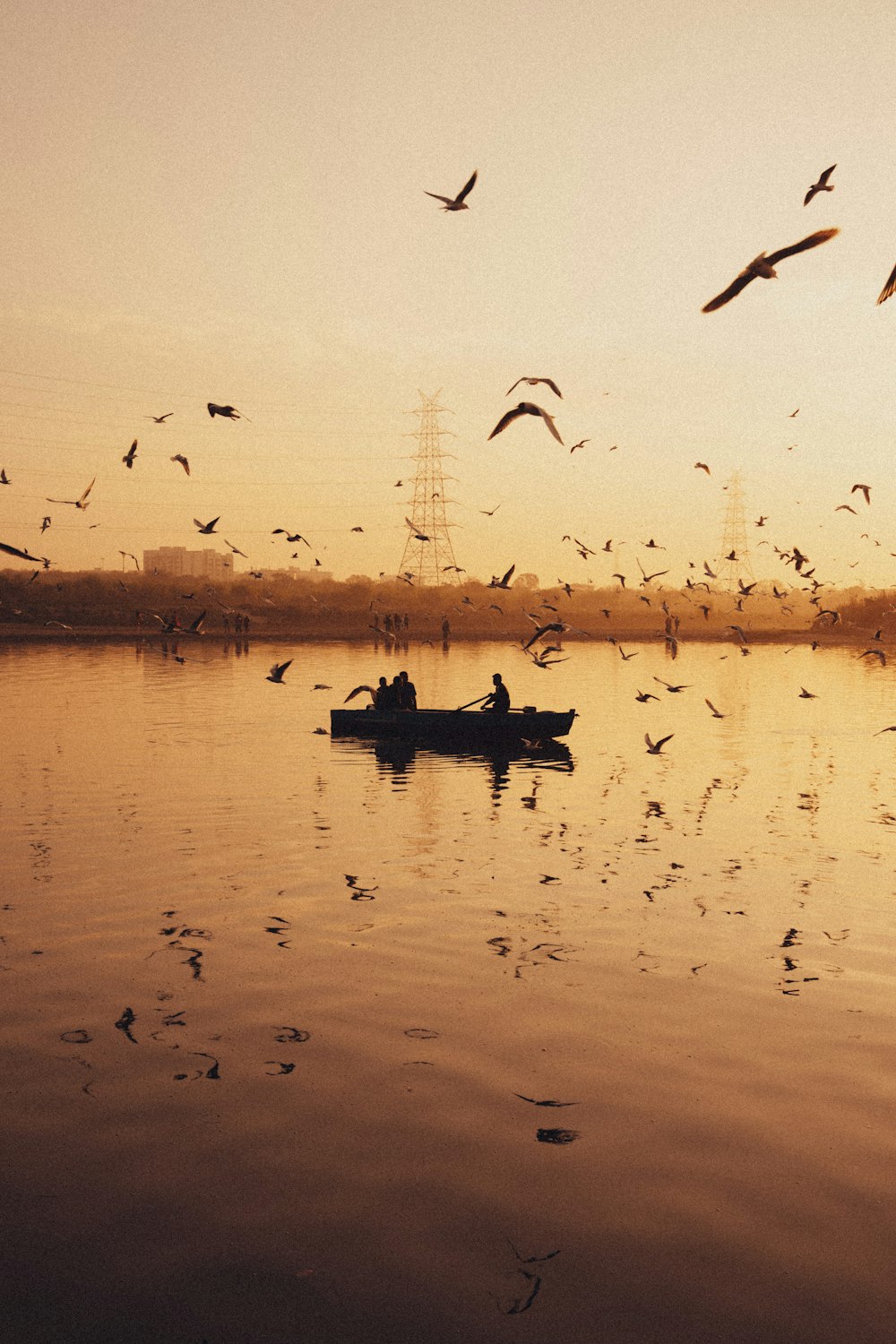 a group of birds flying over a body of water