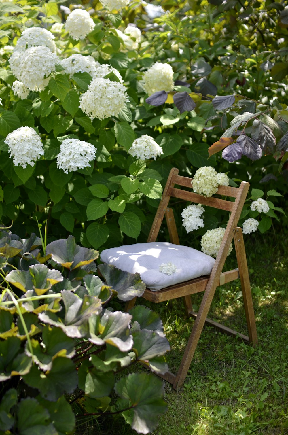 a chair sitting in the middle of a garden