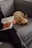 a woman sitting on a couch with a dog