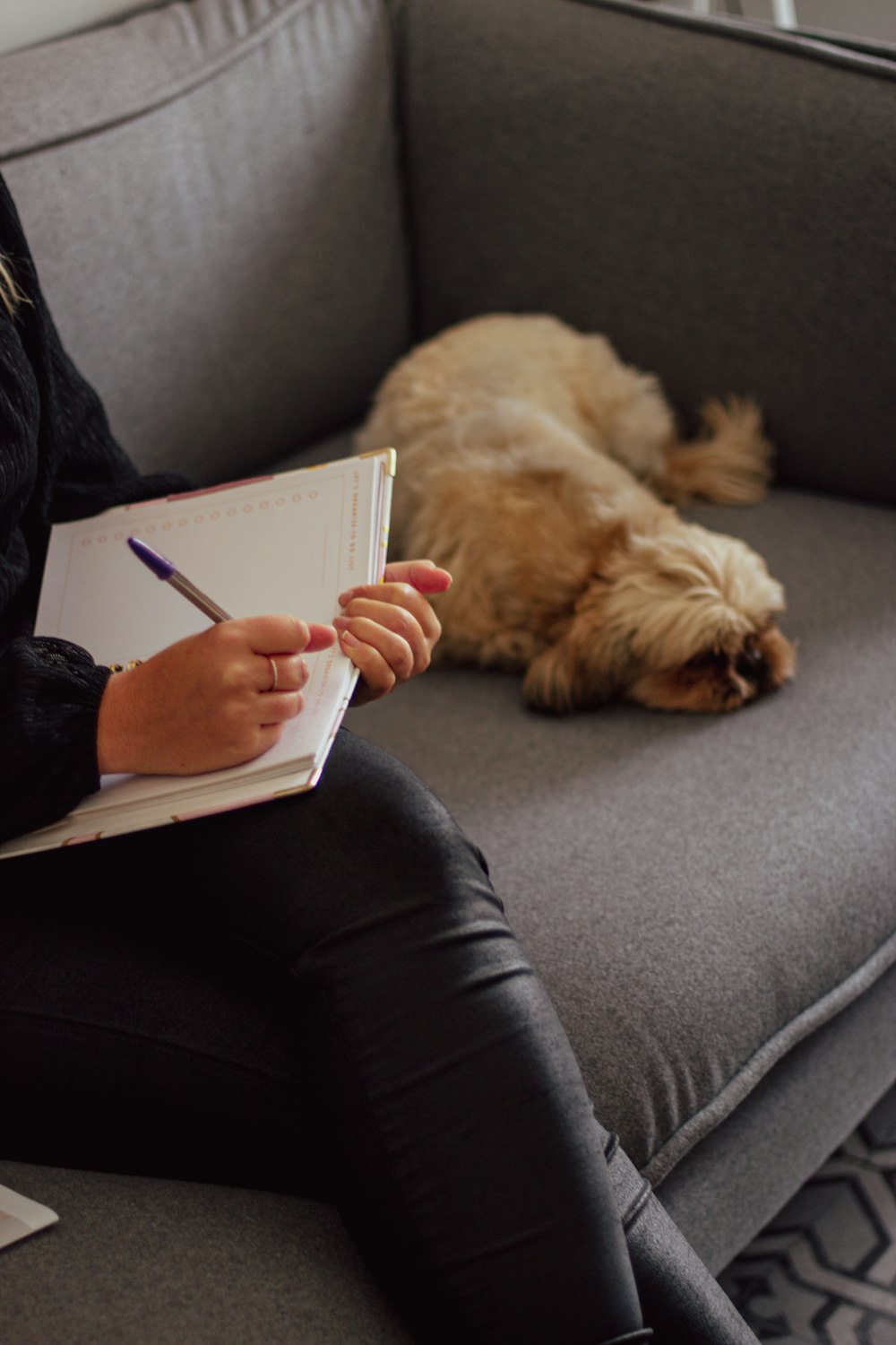 a woman sitting on a couch with a dog