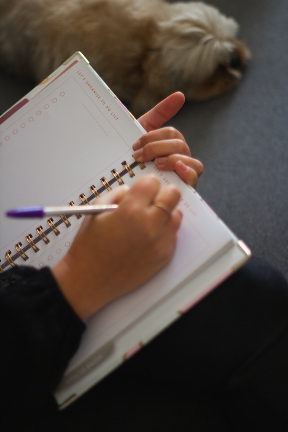 a person writing on a notebook next to a dog