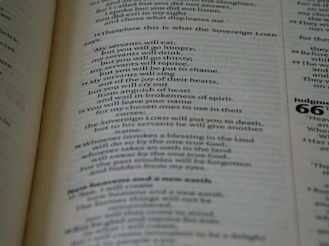 Close-up of an open book with artistic typography and bold illustrations from Novacula