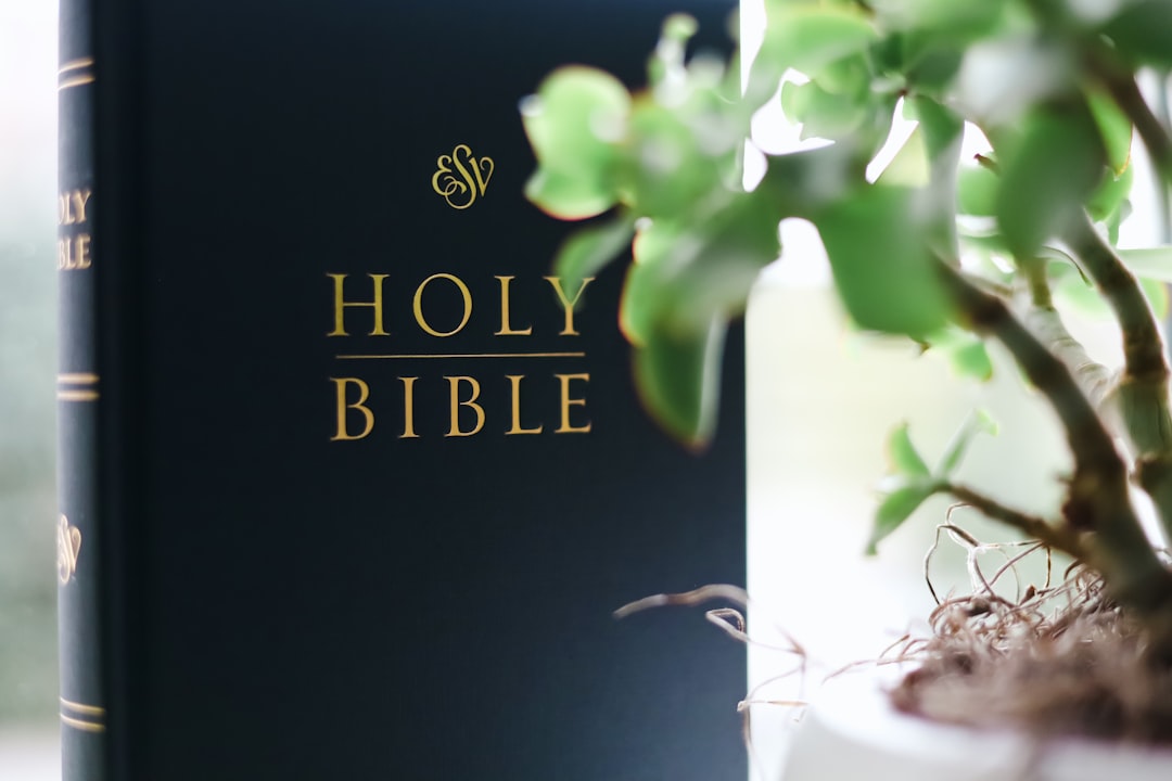 a book sitting on top of a table next to a potted plant, ESV bible translation in windowsill.
