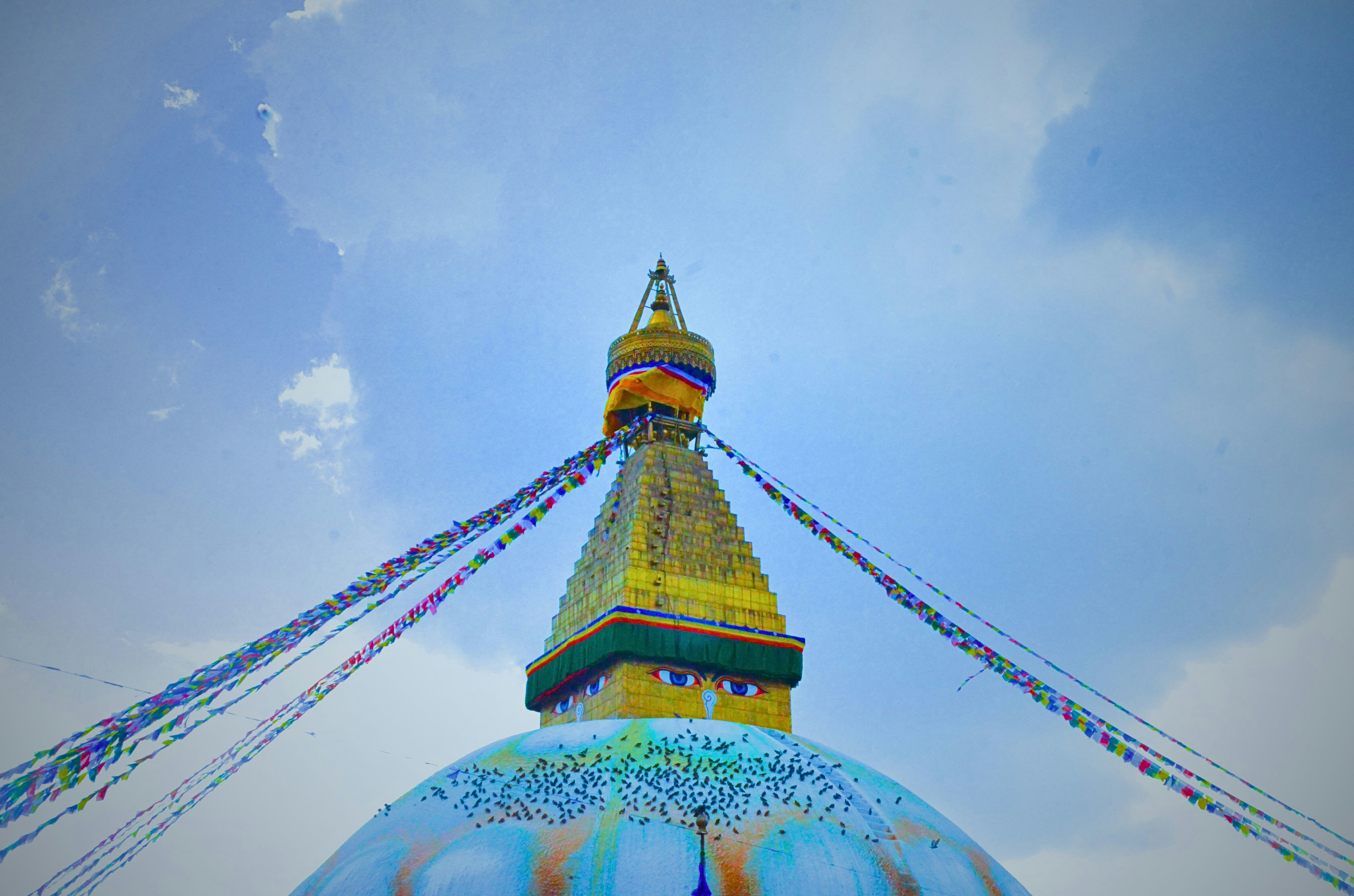 Photo by suzanography