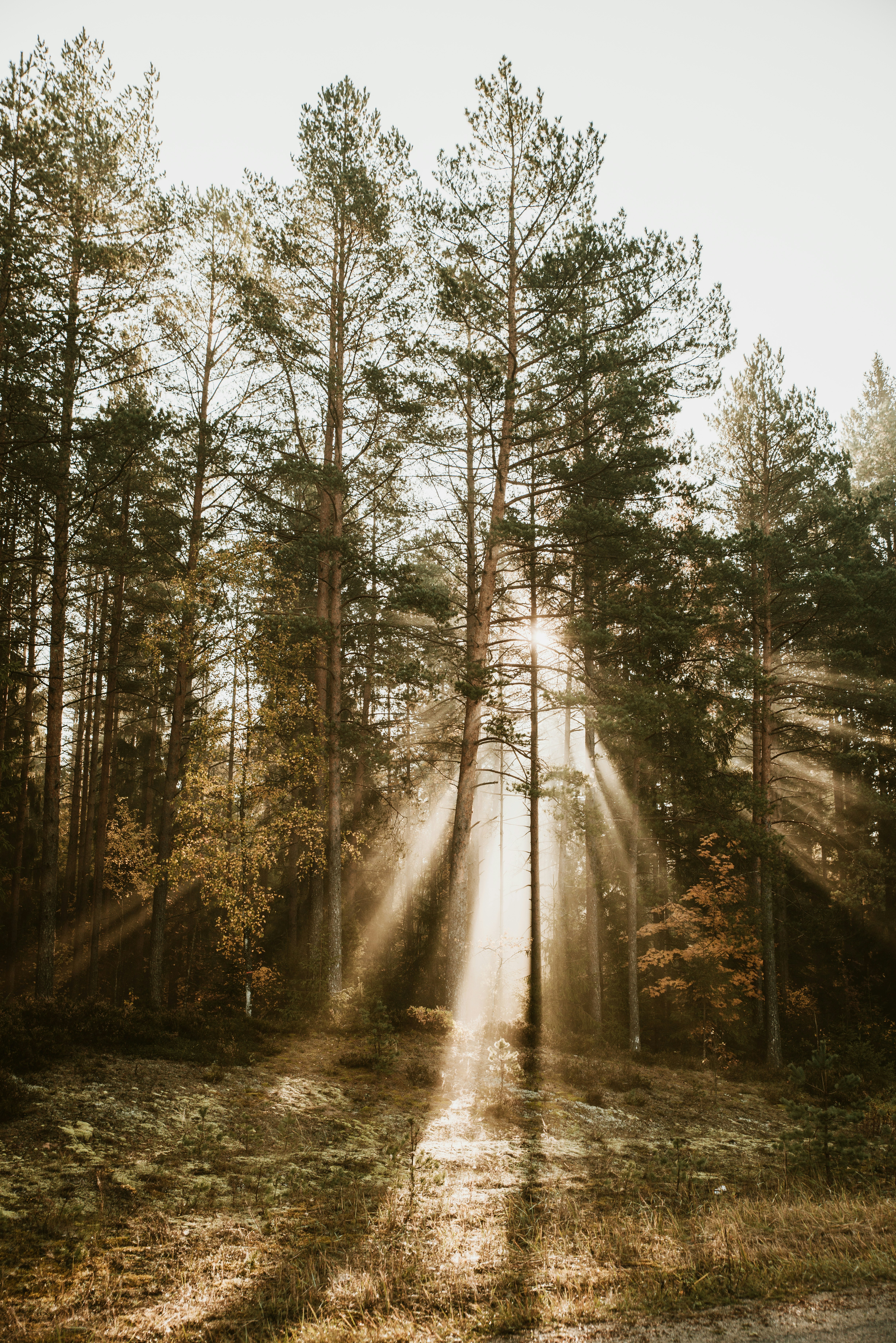 Photo by anitaaustvika