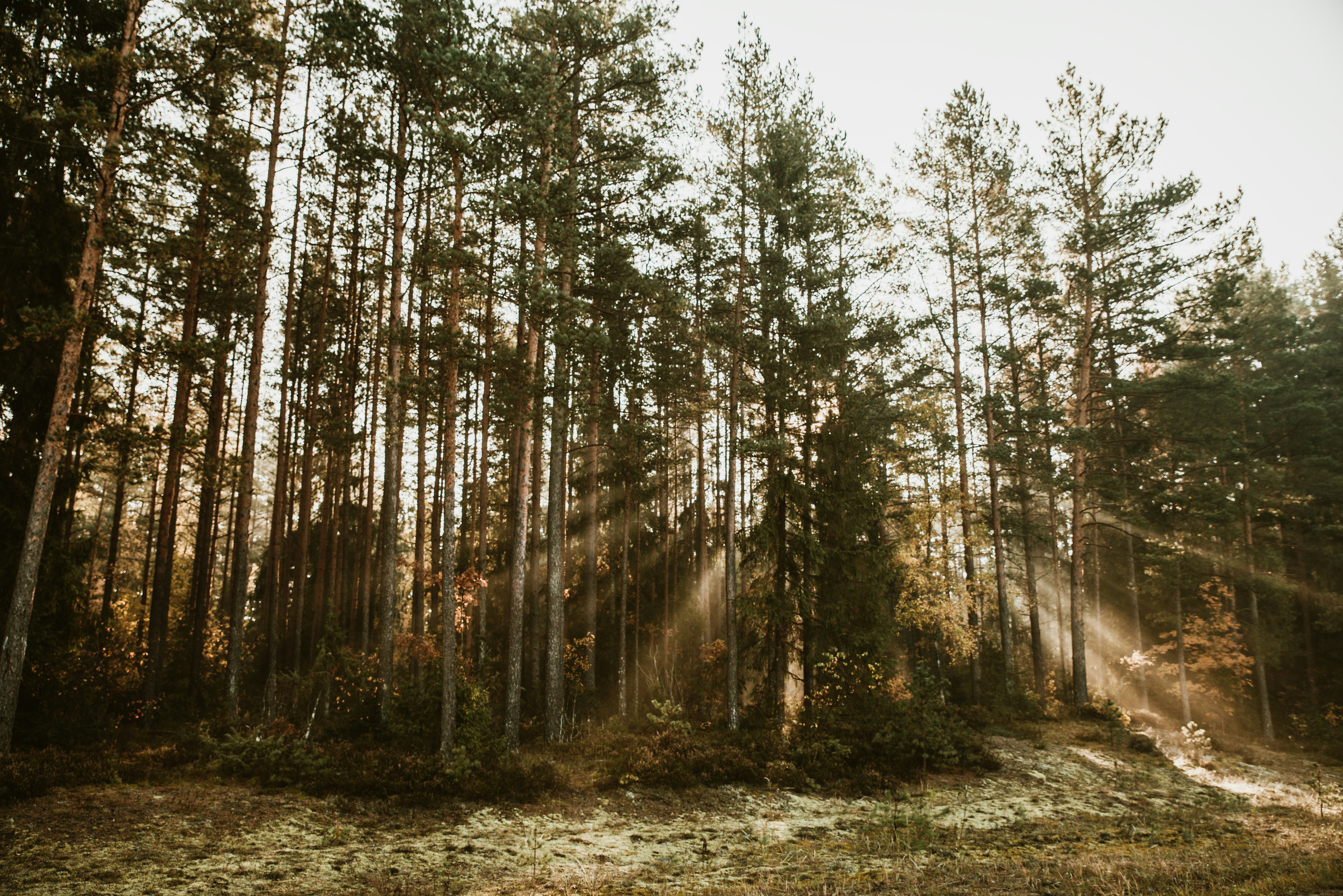 Photo by anitaaustvika