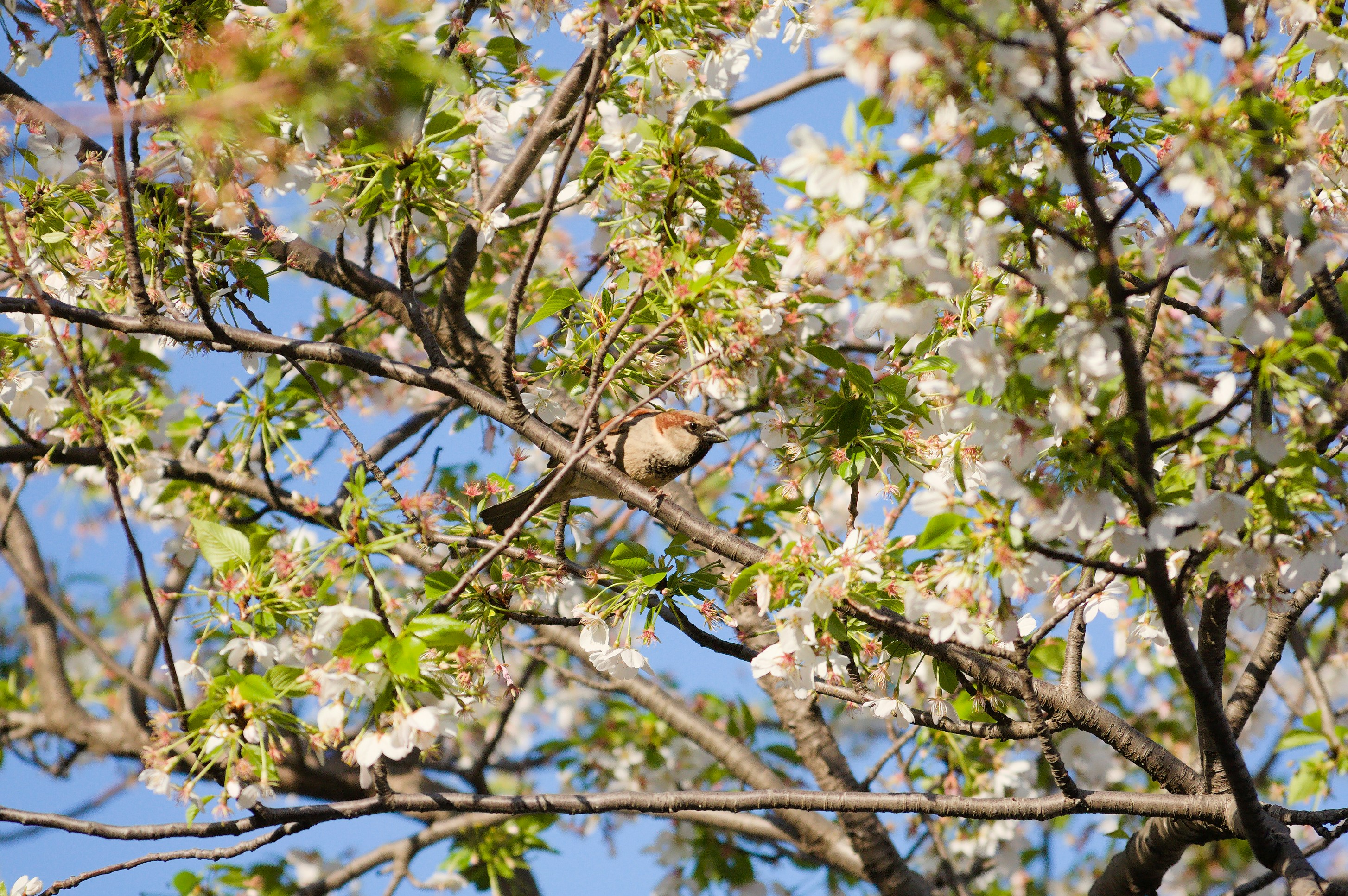 Photo by jothamsutharson