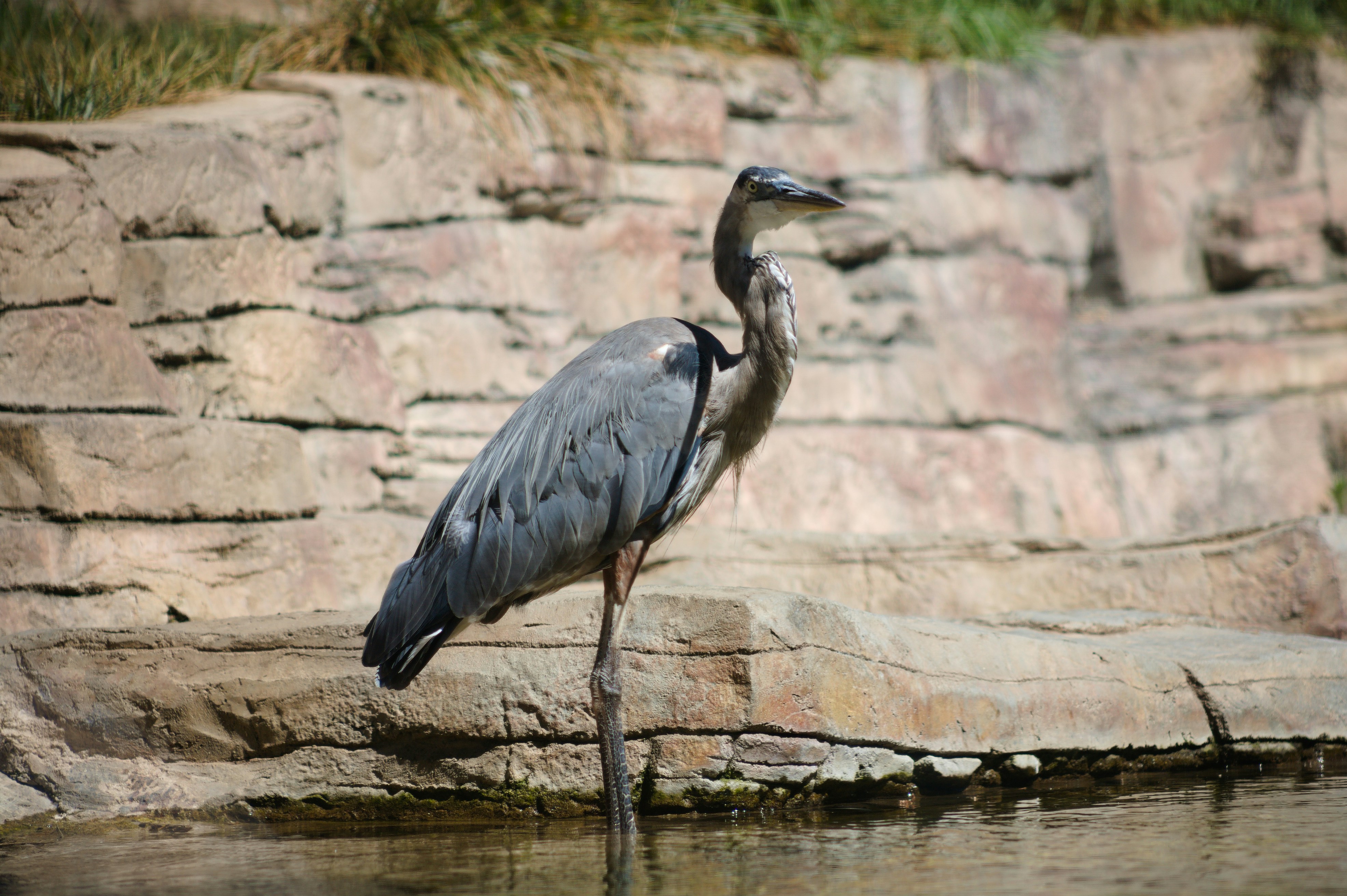 Photo by jothamsutharson