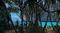 A lush landscape of Los Haitises National Park with cliffs and greenery.