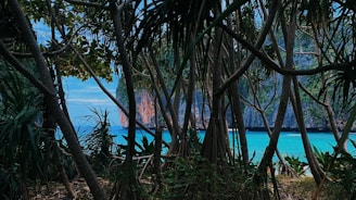 A lush landscape of Los Haitises National Park with cliffs and greenery.