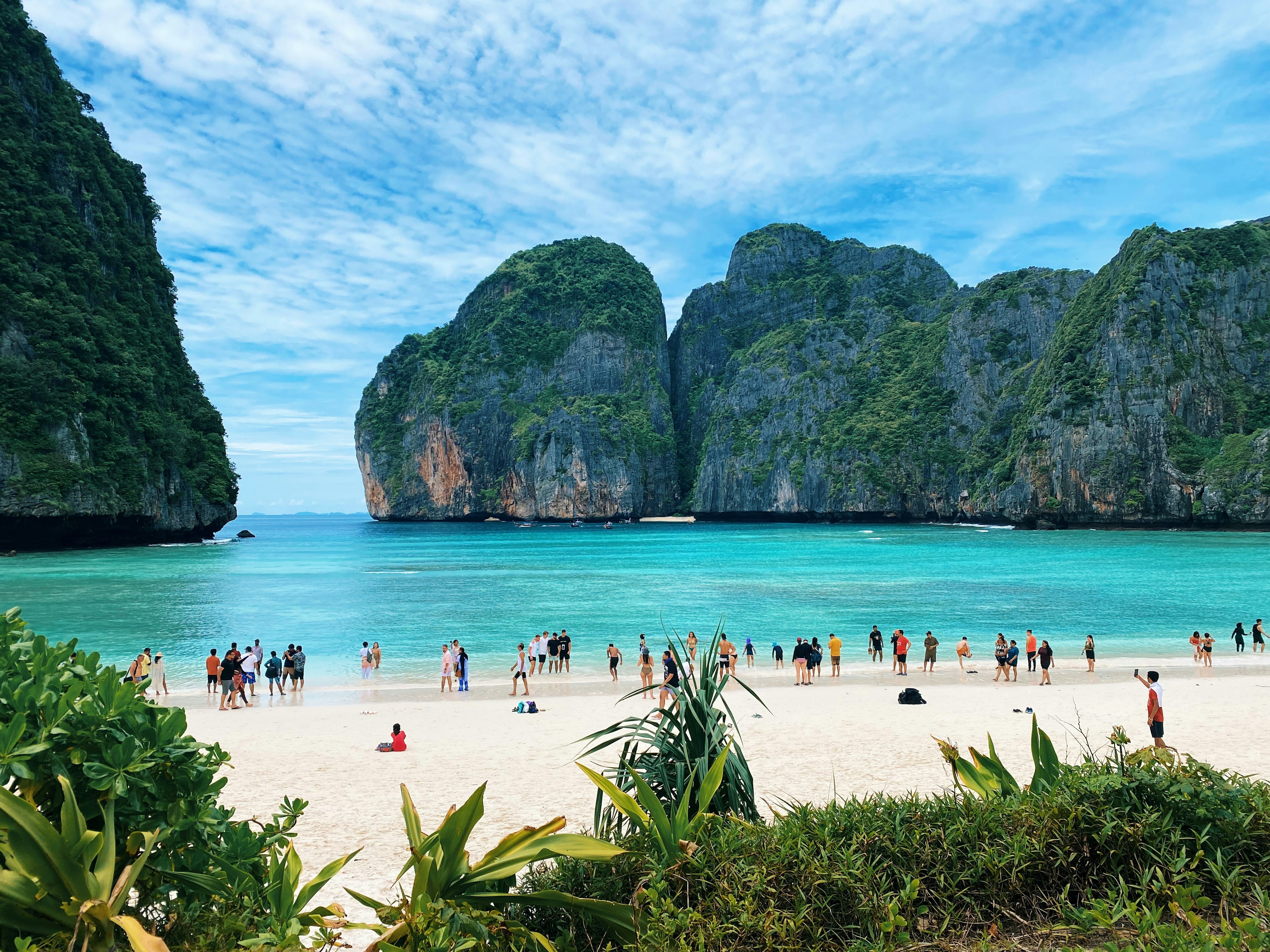 Tropical Beach
